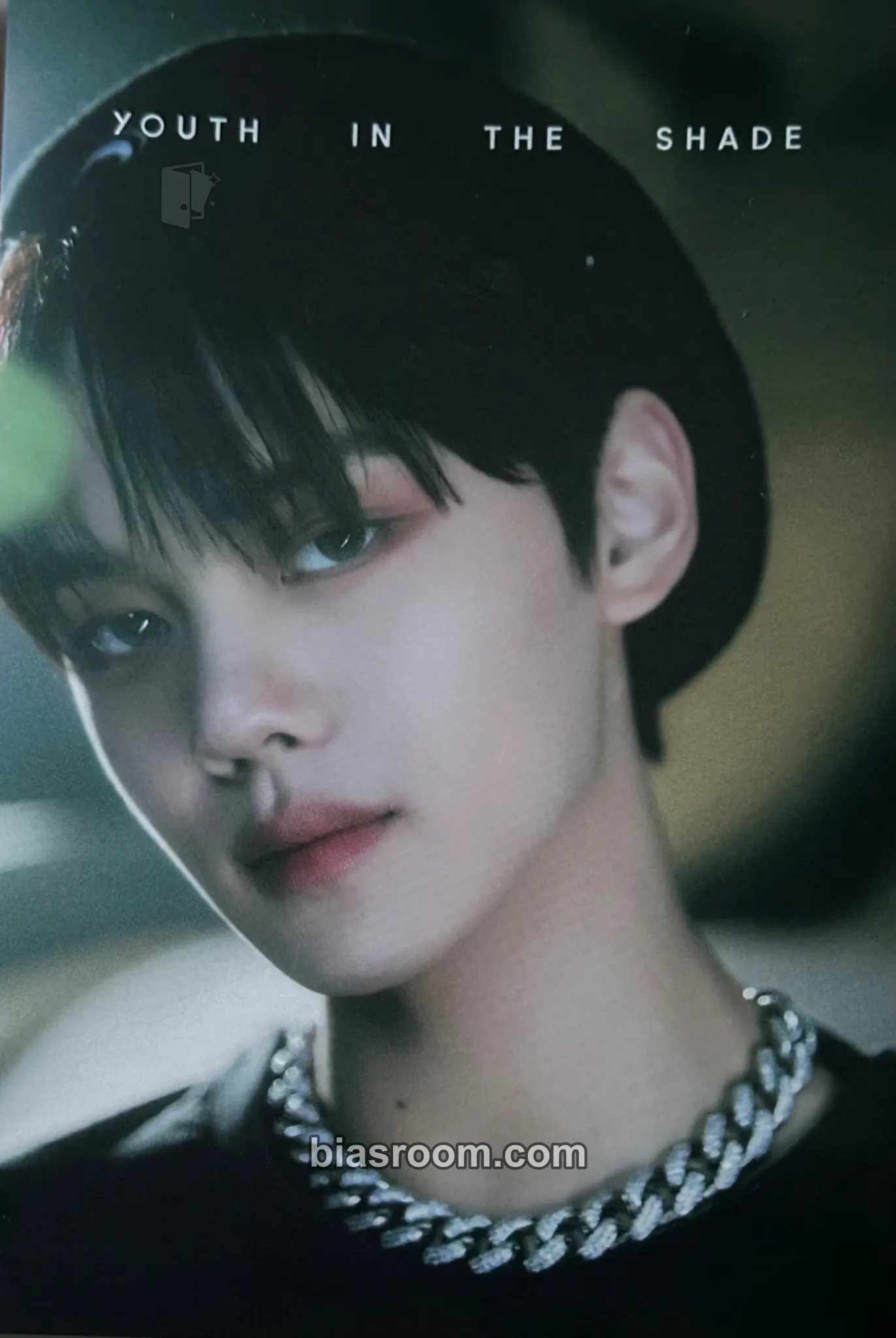 Gyuvin Youth in the Shade Photocard - ZEROBASEONE - ZEROBASEONE K-pop photocard