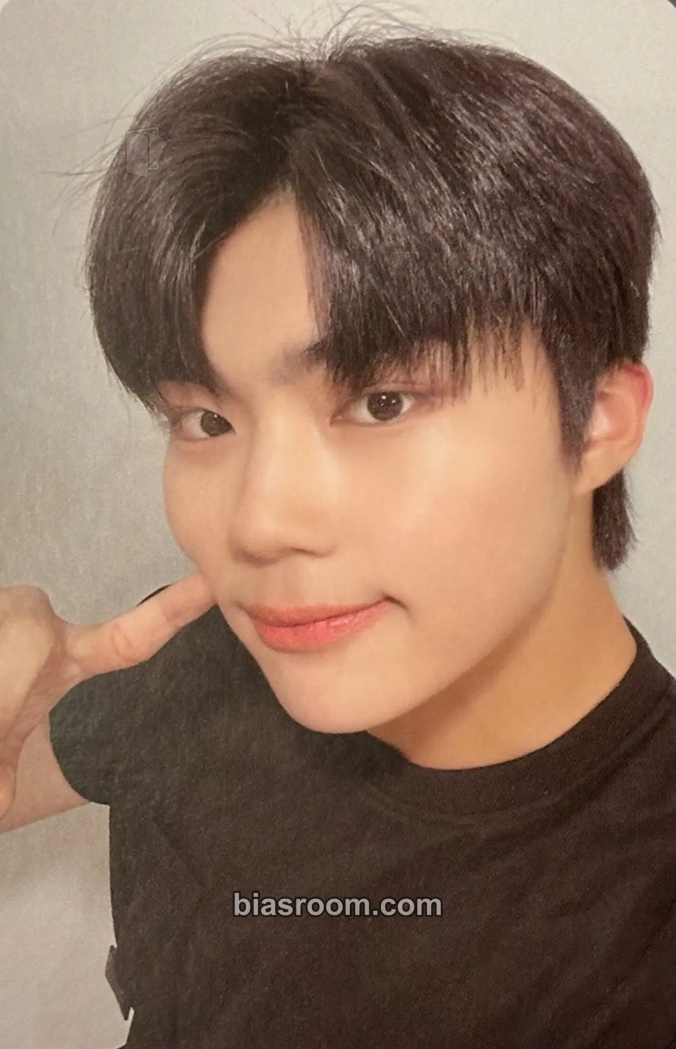 Gunwook Youth in the Shade Photocard - ZEROBASEONE - ZEROBASEONE K-pop photocard