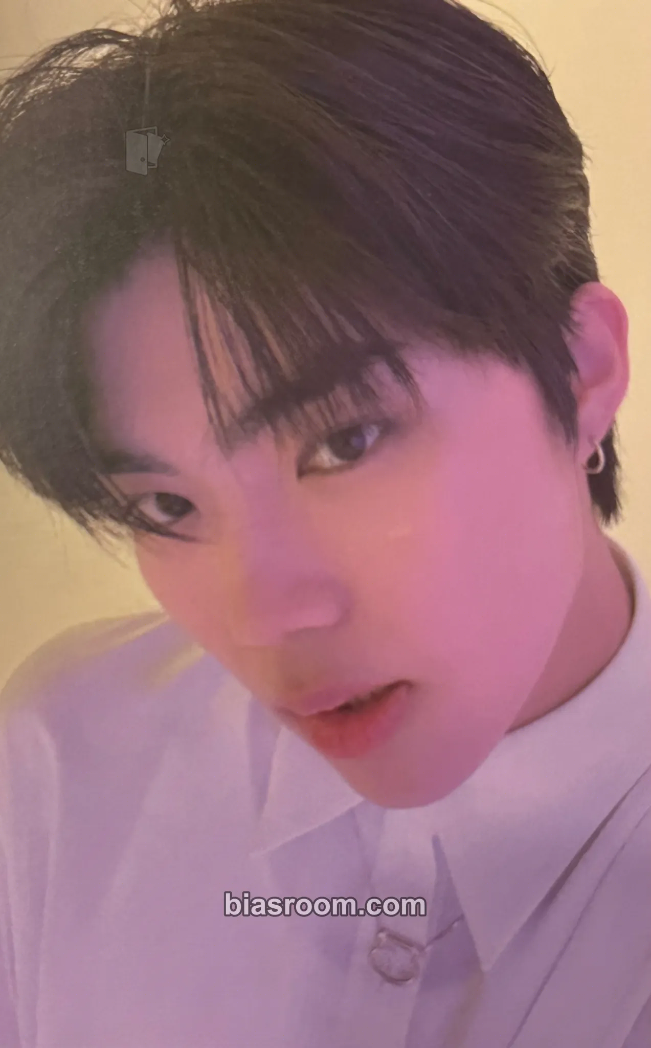 Gunwook Youth in the Shade Photocard - ZEROBASEONE - ZEROBASEONE K-pop photocard