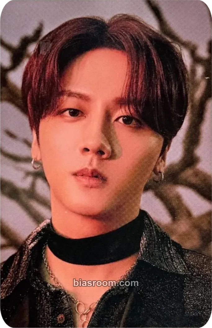 Youngbin TURN OVER Photocard - SF9 - SF9 K-pop photocard