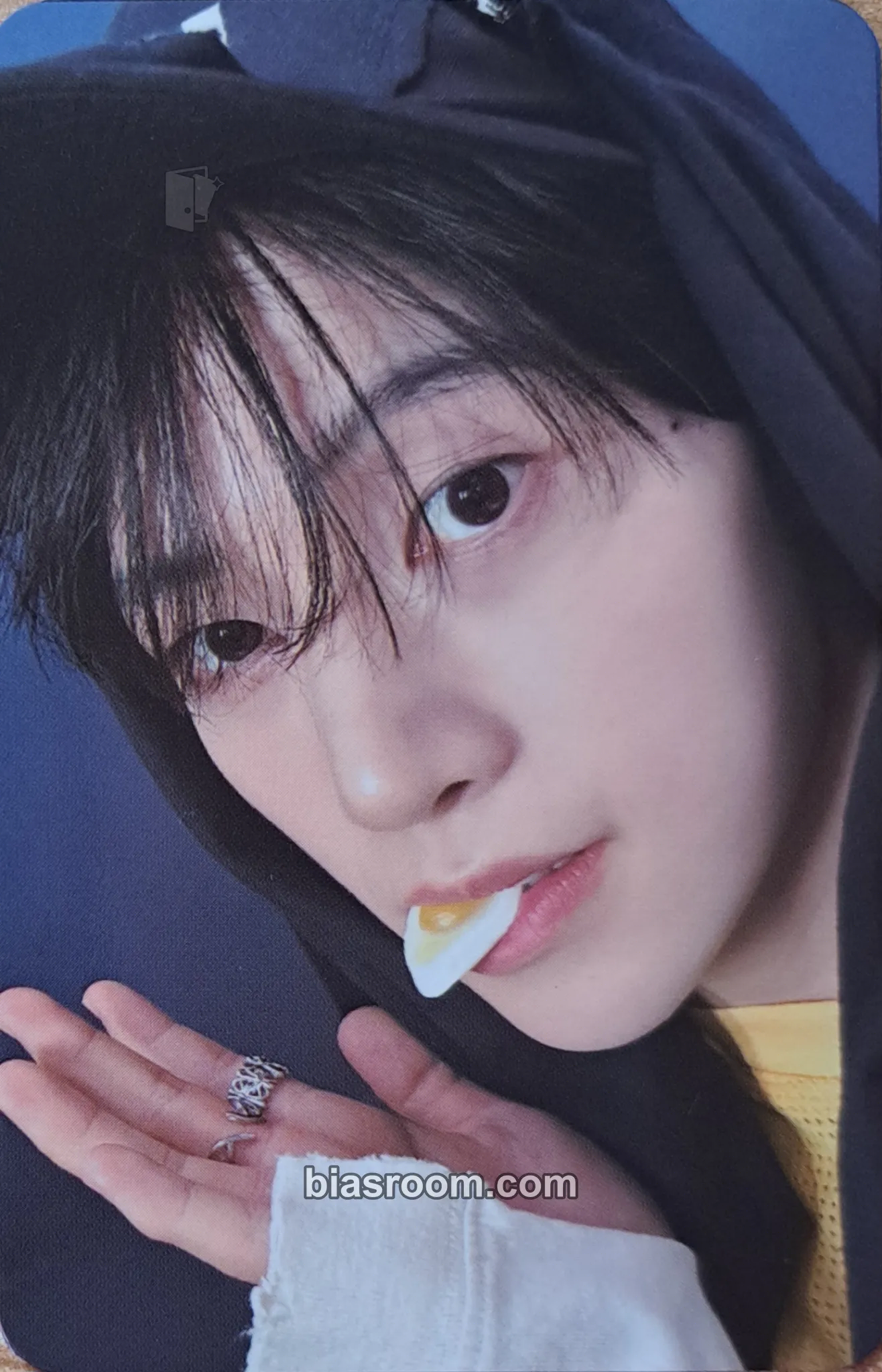 Matthew Never Say Never Photocard - ZEROBASEONE - ZEROBASEONE K-pop photocard