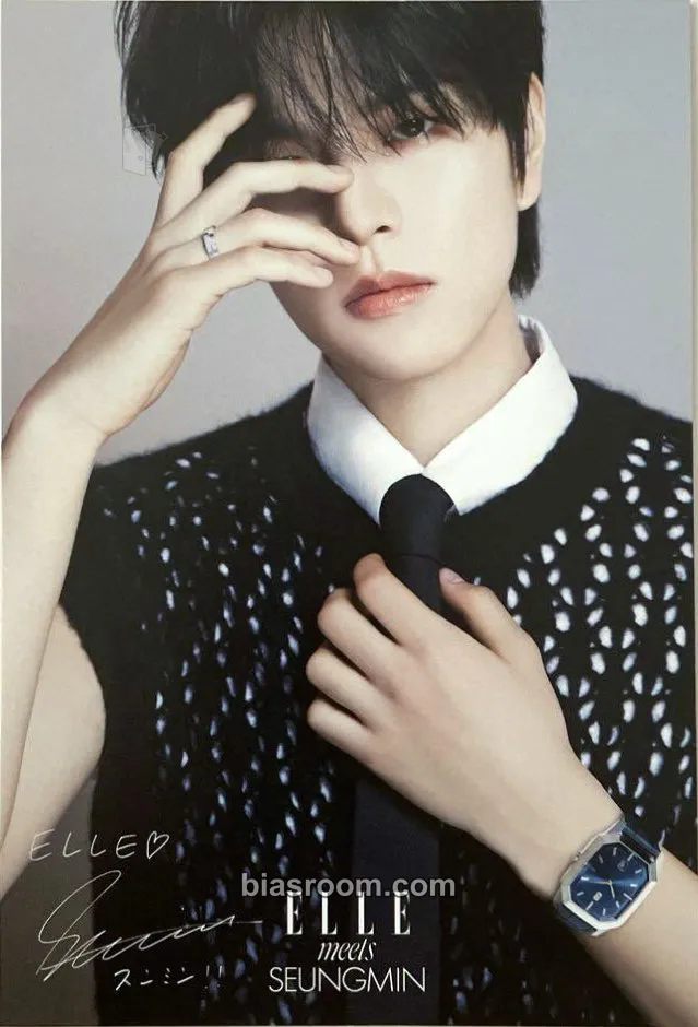 Seungmin ELLE JAPAN Magazine Photocard - Stray Kids - Stray Kids K-pop photocard