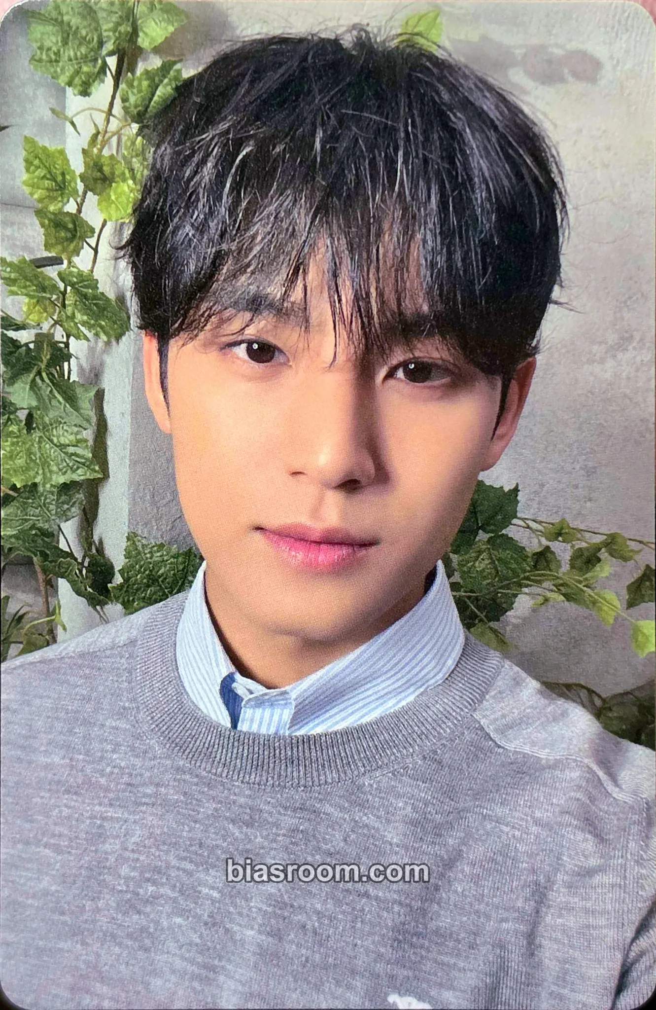 Mingyu Shohikigen Photocard - SEVENTEEN - SEVENTEEN K-pop photocard