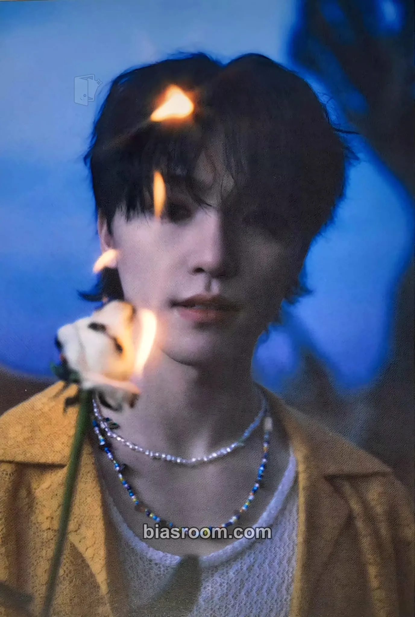 Dino Face the Sun Photocard - SEVENTEEN - SEVENTEEN K-pop photocard