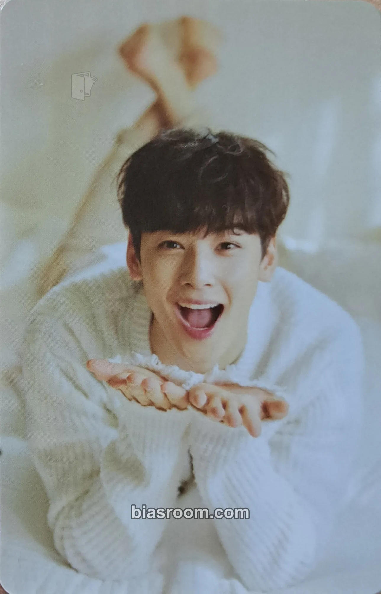 Cha Eun-woo Autumn Story Photocard - ASTRO - ASTRO K-pop photocard