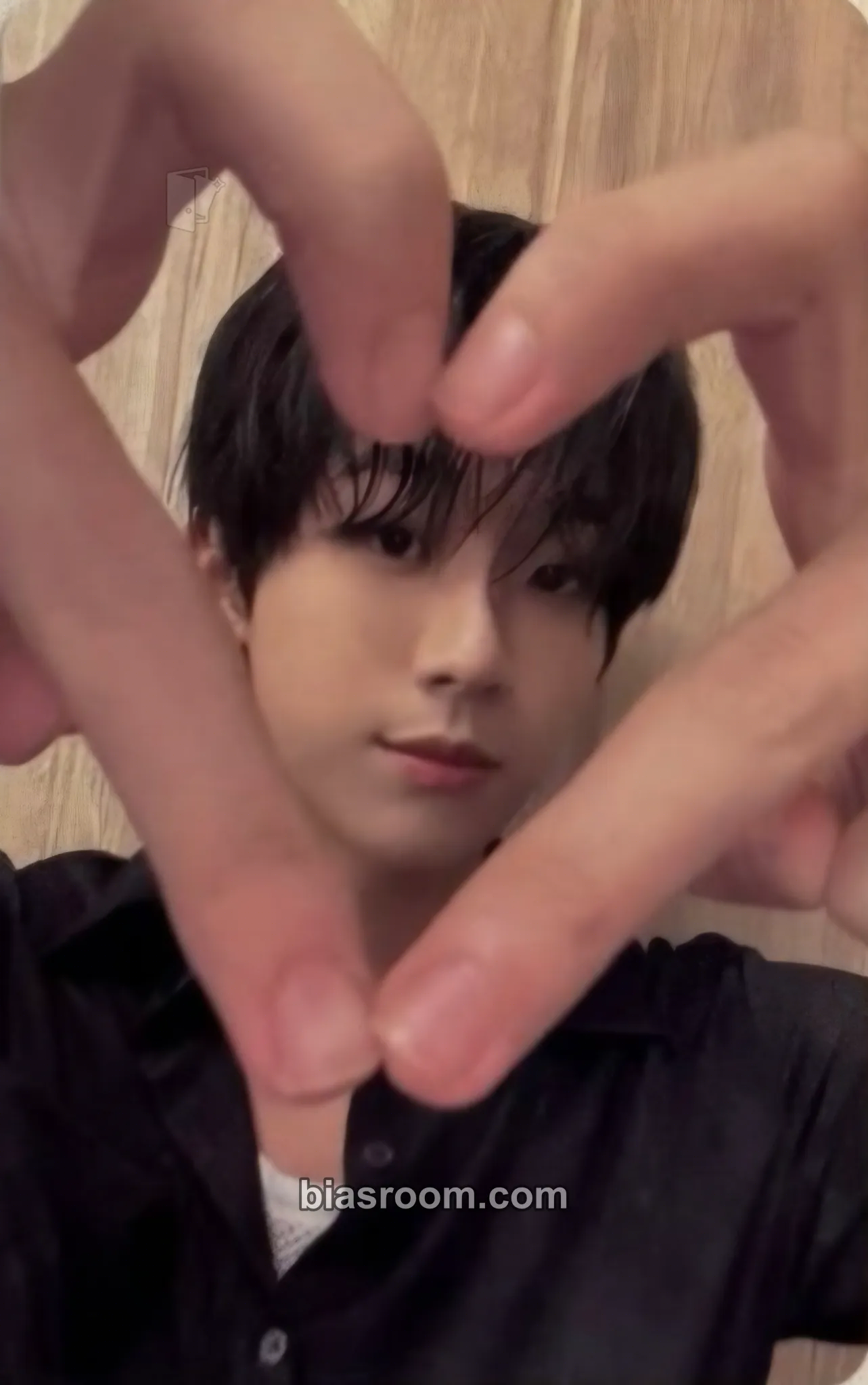 Hojun NTX Special Live in Japan (November 2025) Photocard - NTX - NTX K-pop photocard