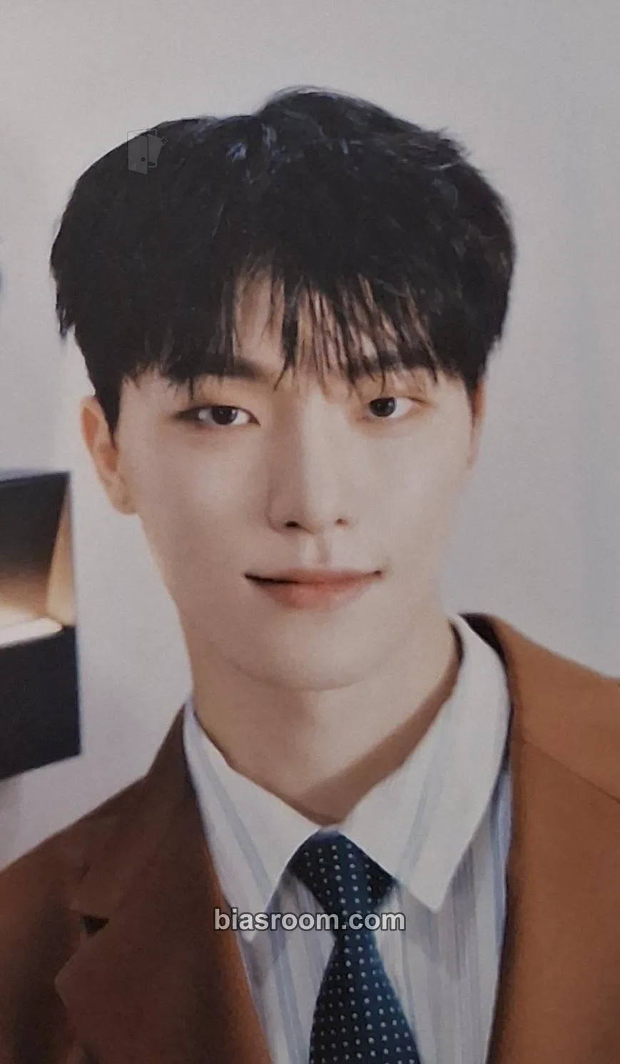 Dino Spill the Feels Photocard - SEVENTEEN - SEVENTEEN K-pop photocard