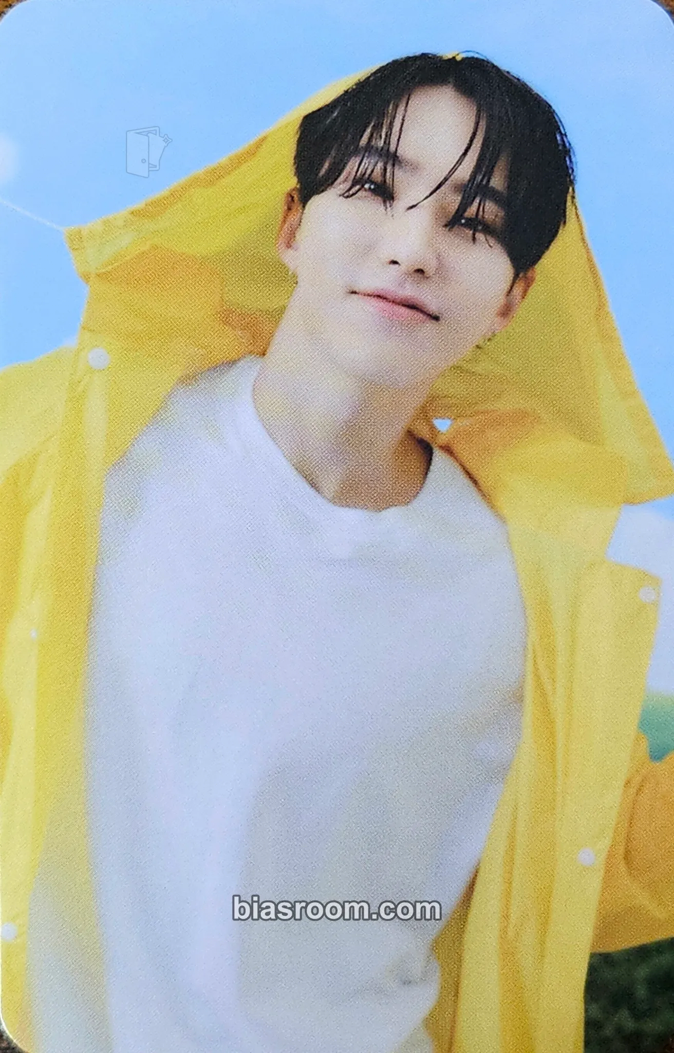 Hoshi Seventeenth Heaven Photocard - SEVENTEEN - SEVENTEEN K-pop photocard
