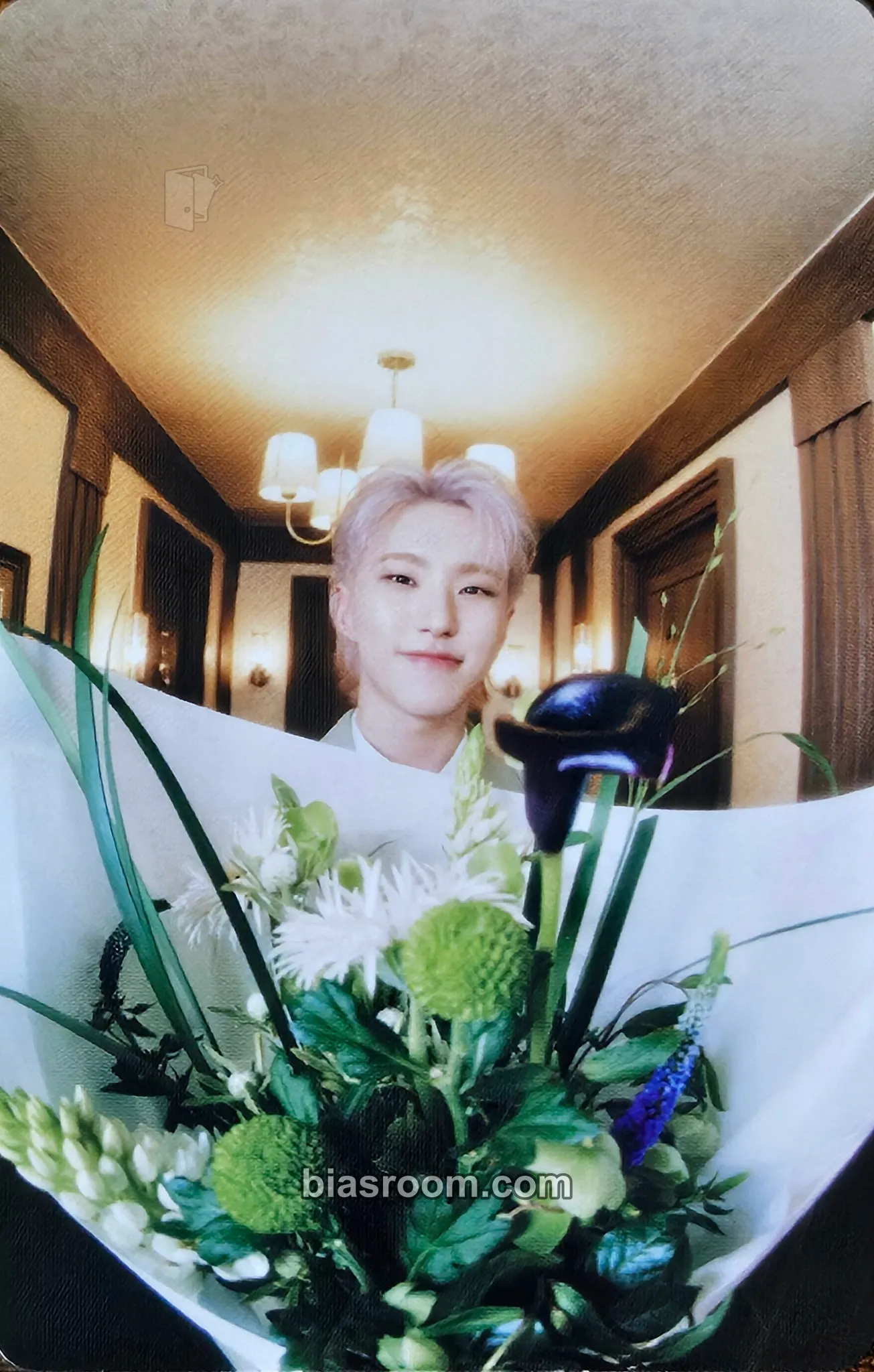 Hoshi Spill the Feels Photocard - SEVENTEEN - SEVENTEEN K-pop photocard