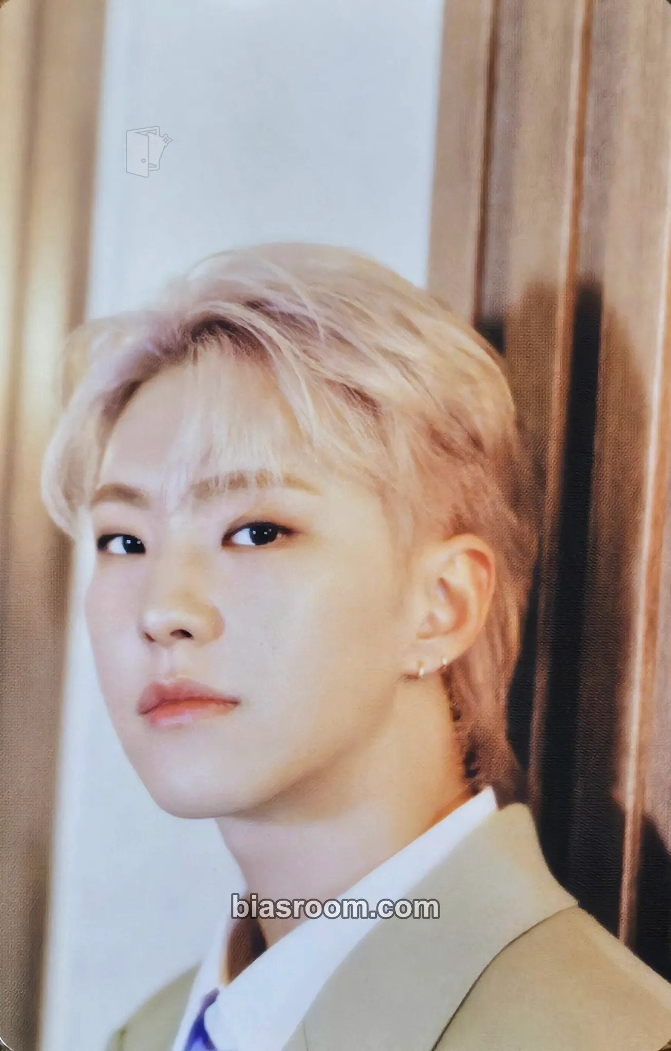 Hoshi Spill the Feels Photocard - SEVENTEEN - SEVENTEEN K-pop photocard