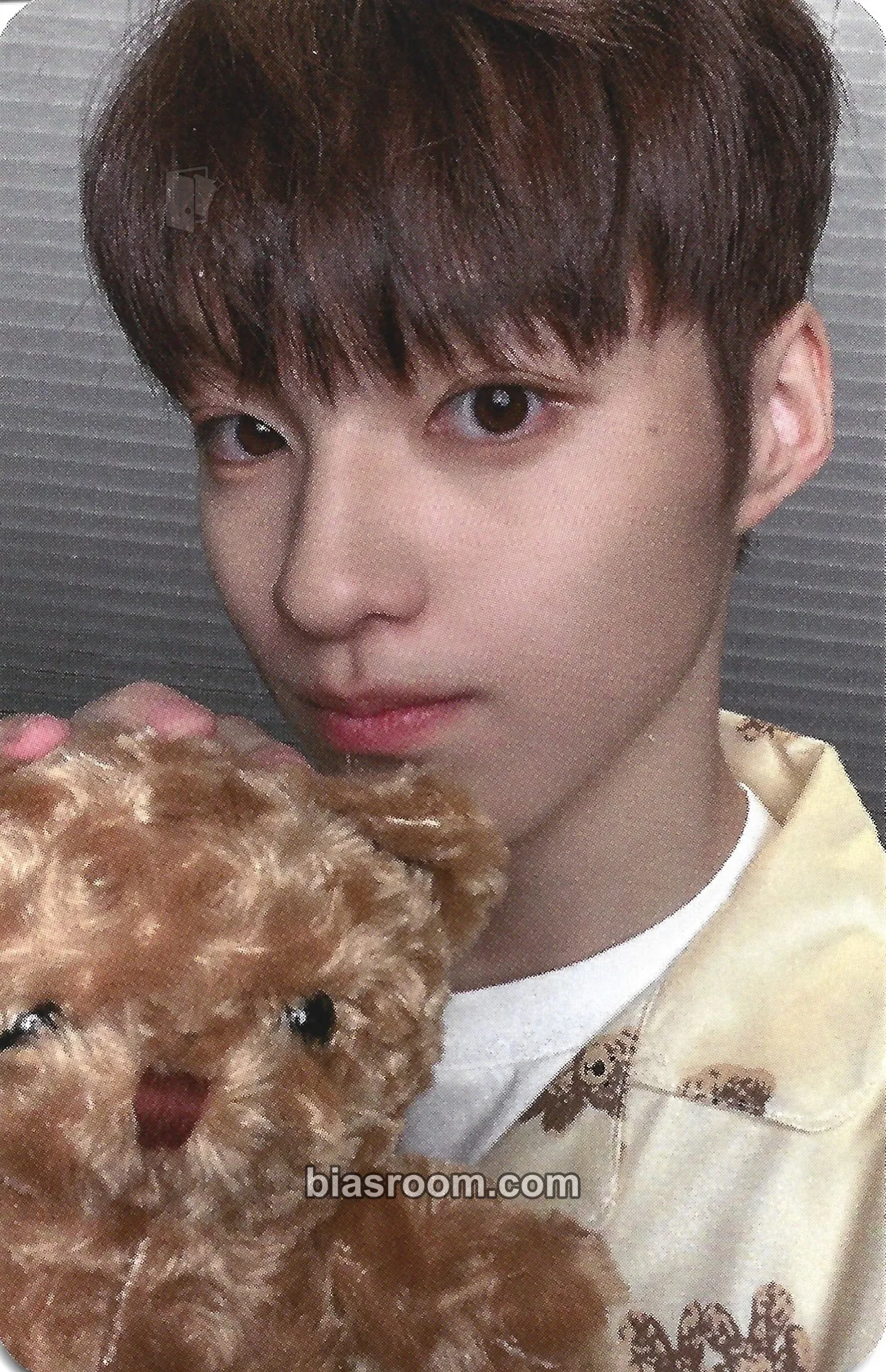 Takuto Flare Photocard - TOZ - TOZ K-pop photocard
