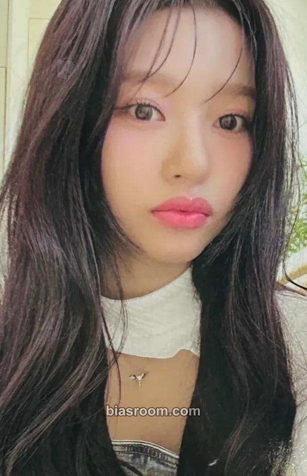 Duna L'heure Bleue : Prologue Photocard - CSR - CSR K-pop photocard