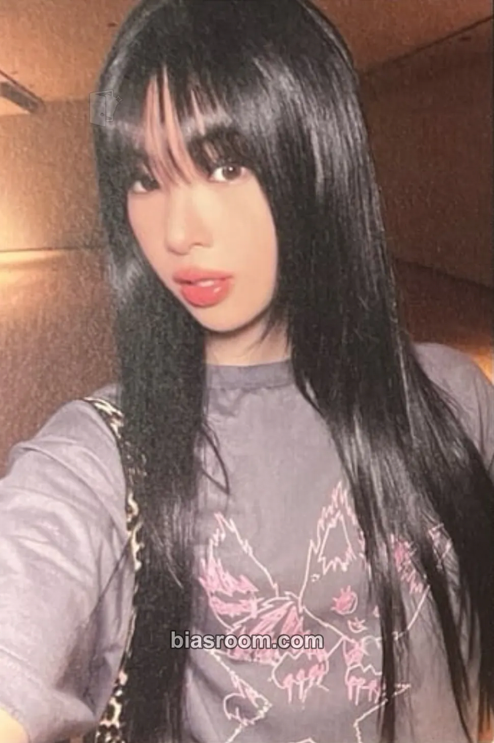 Sophia Viewfinder in Seoul Photocard - KATSEYE - KATSEYE K-pop photocard