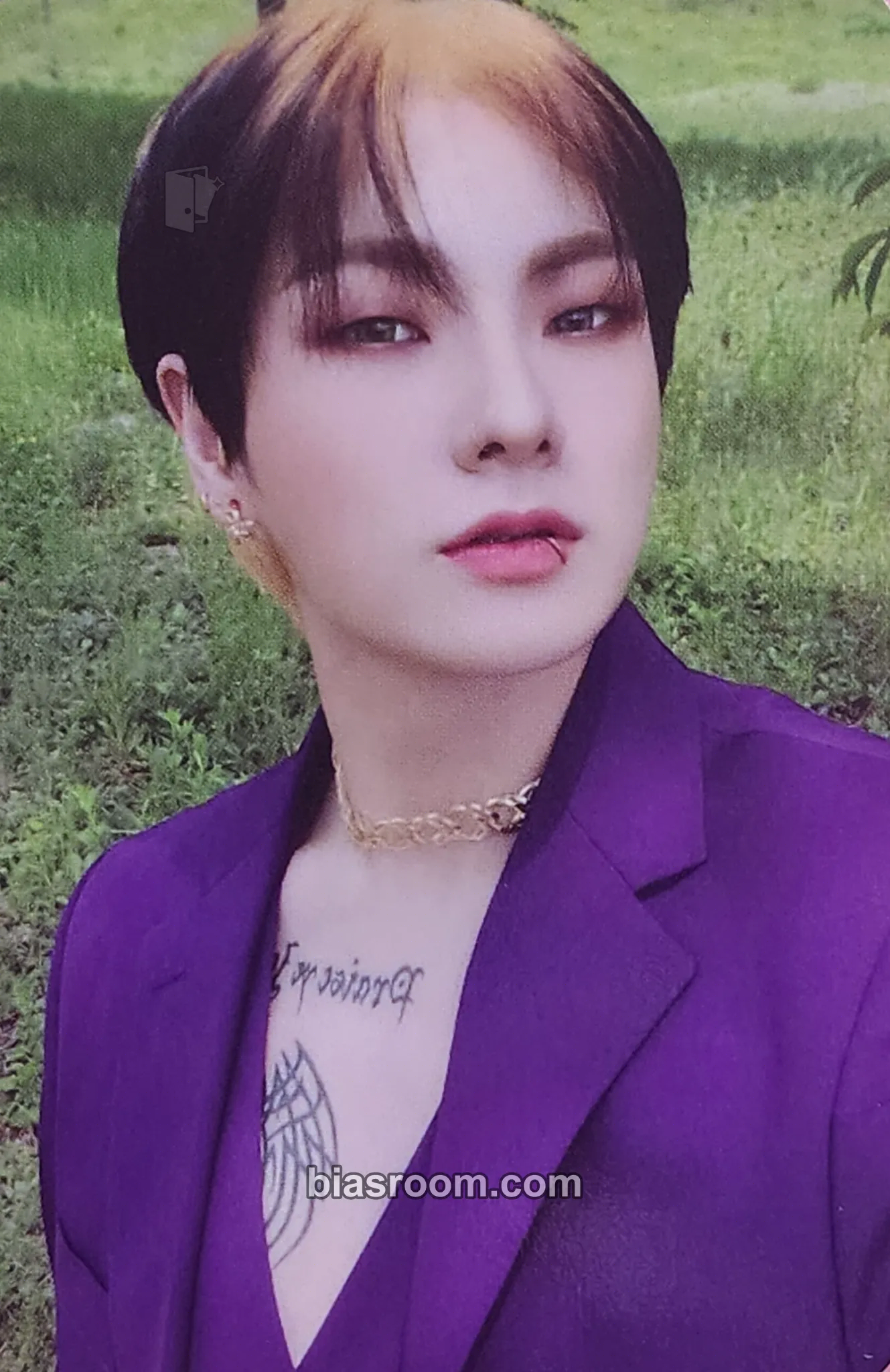 Hanse Mayday Photocard - VICTON - VICTON K-pop photocard