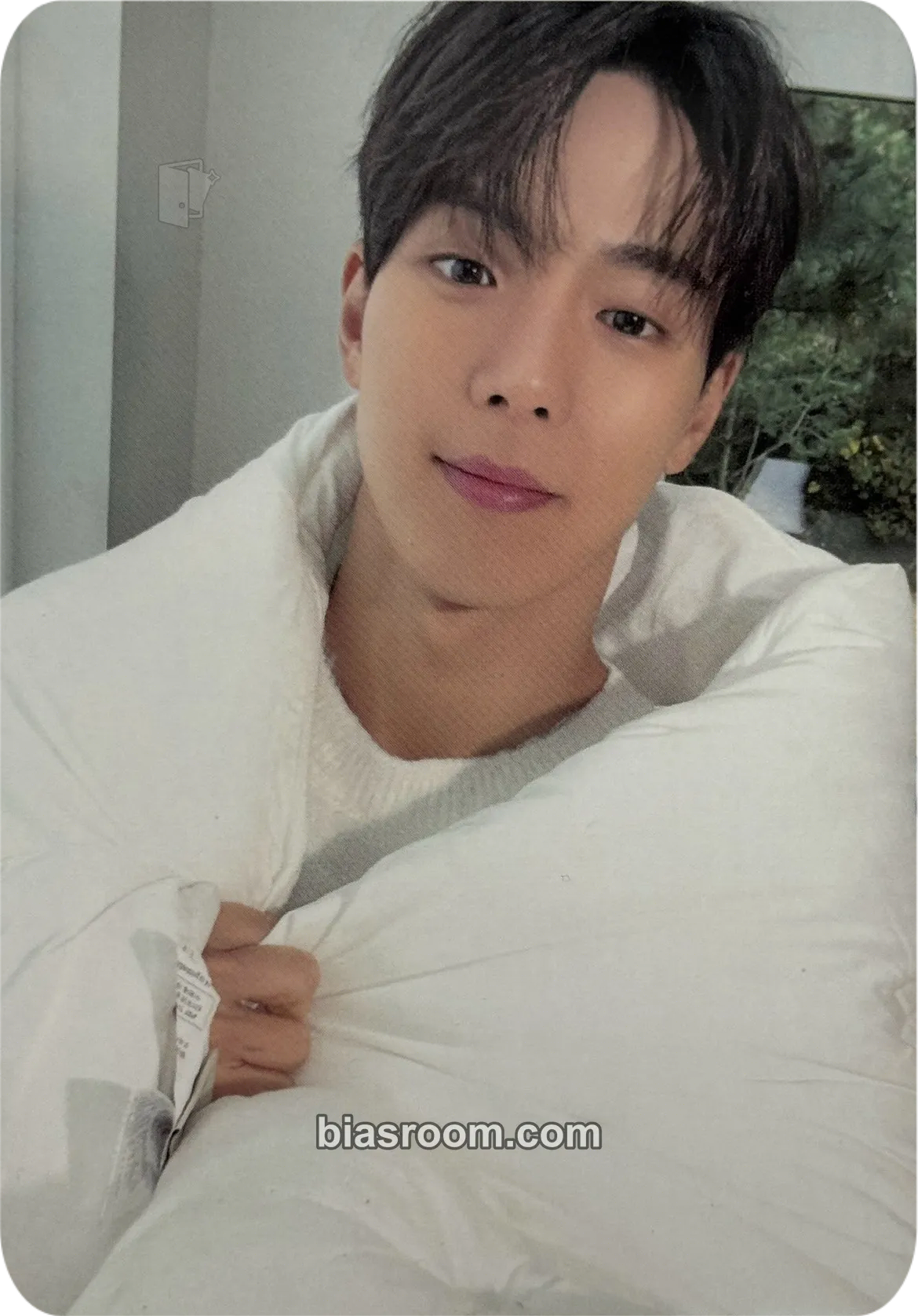 Shownu SHOWNU x I'm From Photocard - MONSTA X - MONSTA X K-pop photocard