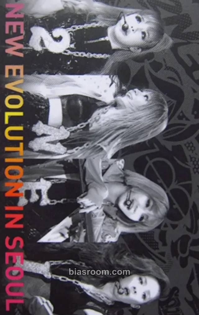2NE1 - 2012 2NE1 Global Tour Live CD (New Evolution in Seoul) Album tour merch