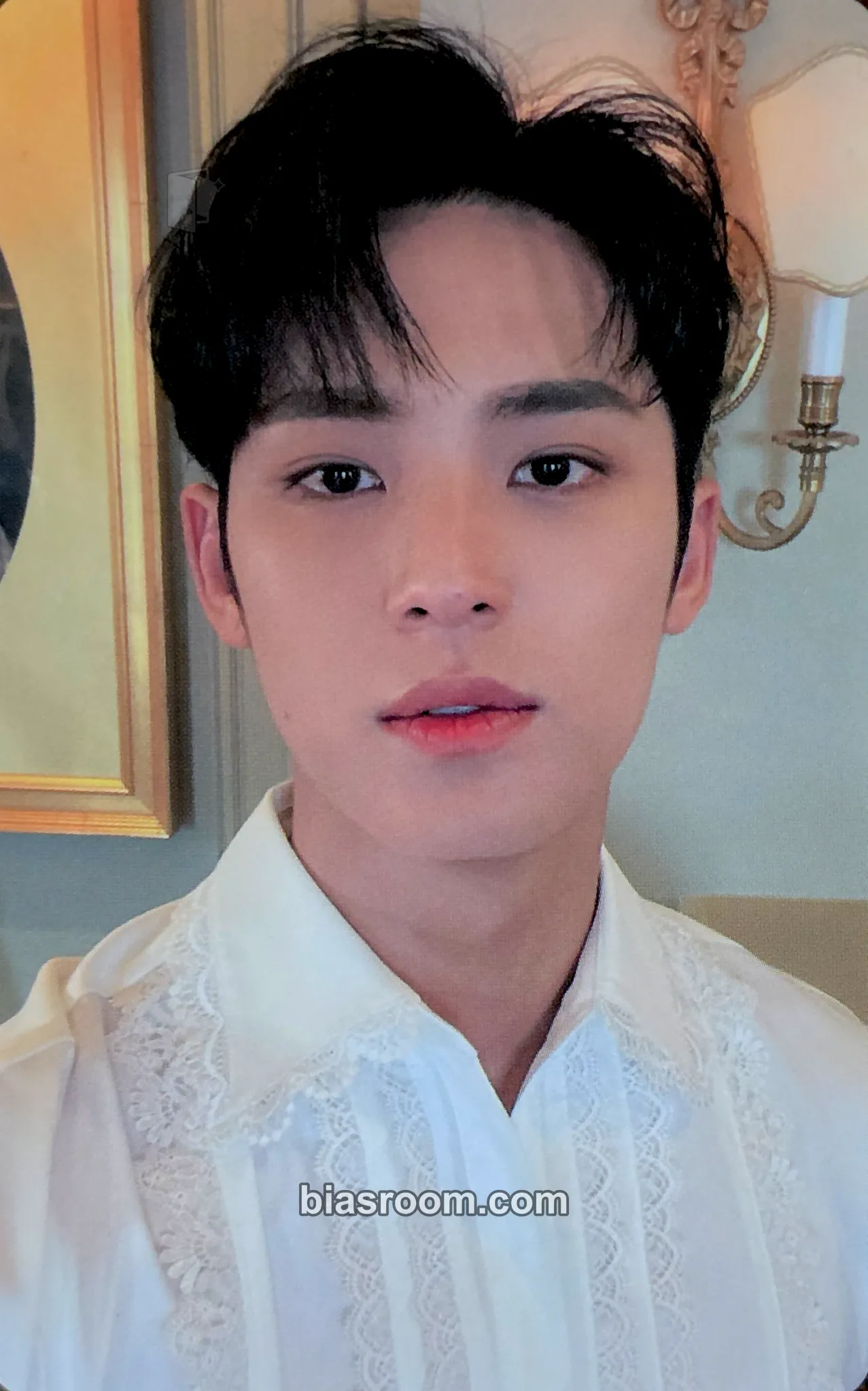 Mingyu Social Club : Carat Photobook Photocard - SEVENTEEN - SEVENTEEN K-pop photocard