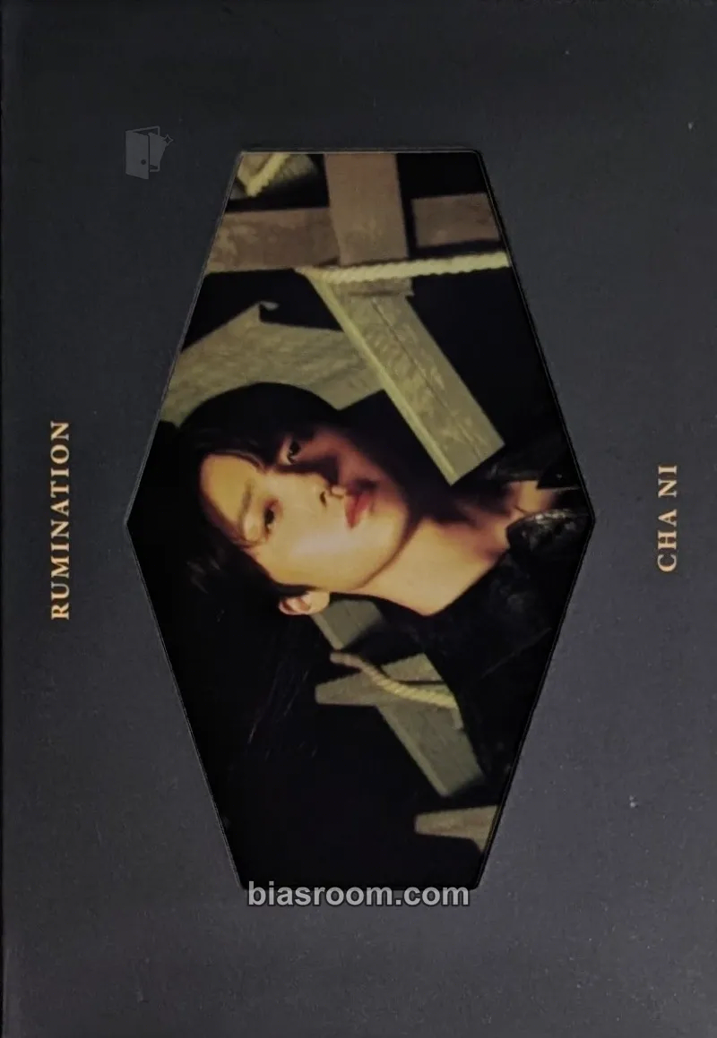 Chani RUMINATION Photocard - SF9 - SF9 K-pop photocard