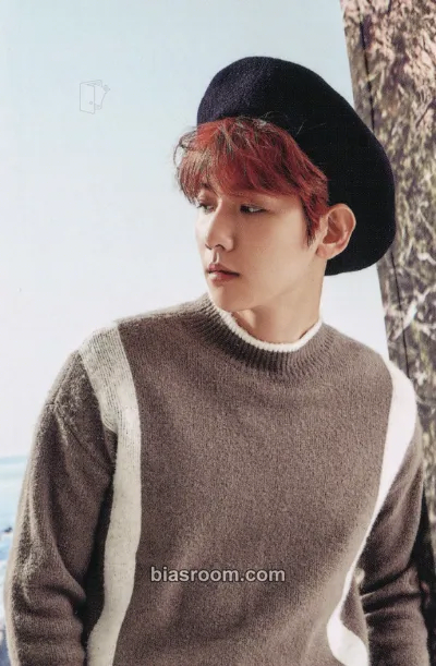 Baekhyun 2017 EXO Season's Greetings Photocard - EXO - EXO K-pop photocard