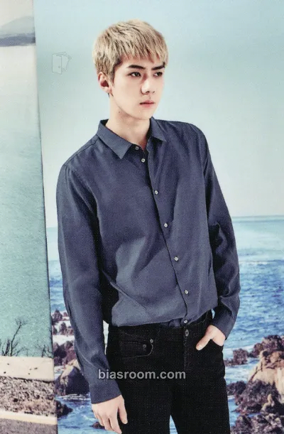 Sehun 2017 EXO Season's Greetings Photocard - EXO - EXO K-pop photocard