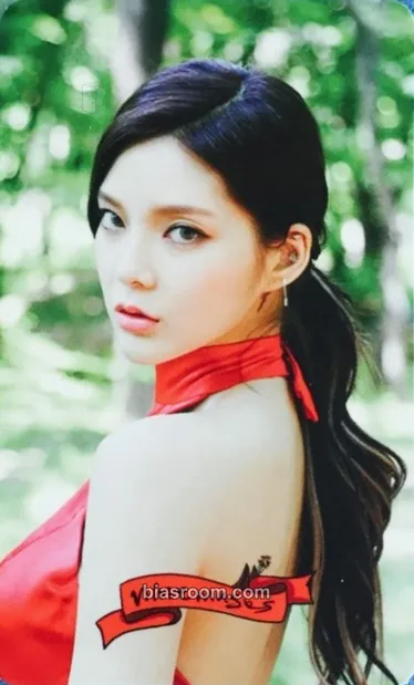 9MUSES 