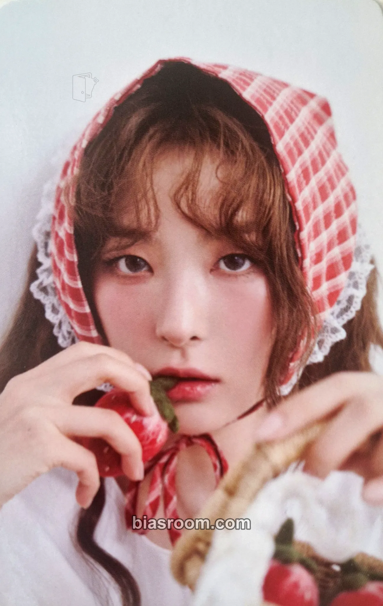 Seulgi 2026 Season's Greetings Photocard - Red Velvet - Red Velvet K-pop photocard