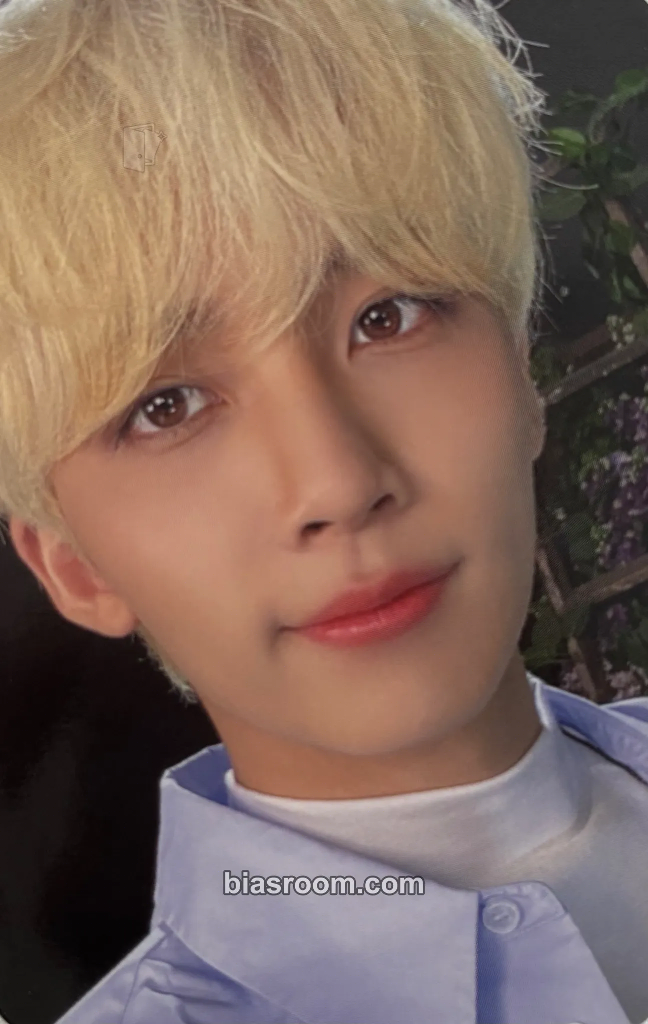Jeonghan DICON D’Festa Mini Edition Photocard - SEVENTEEN - SEVENTEEN K-pop photocard