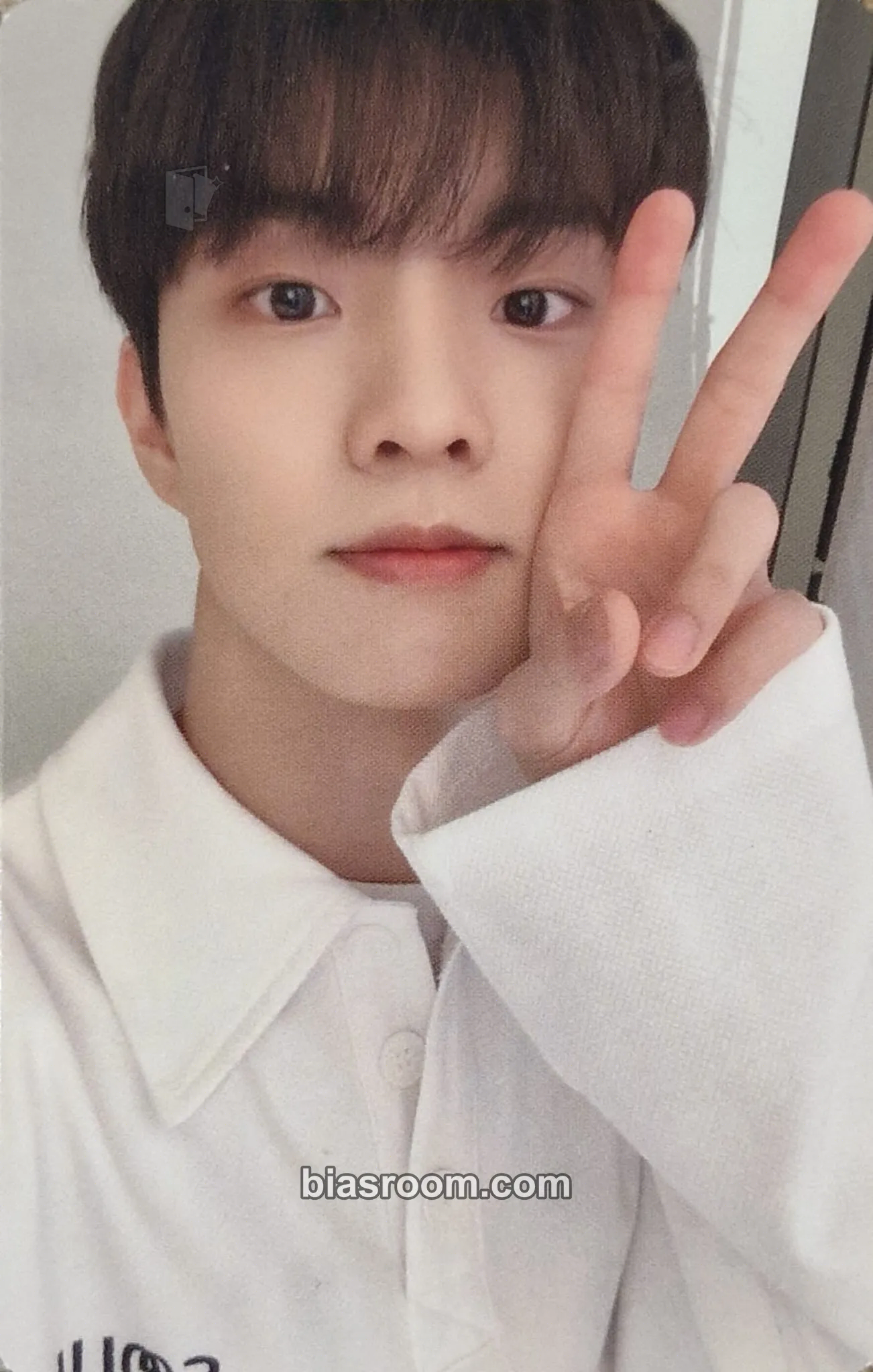 Q LAPOTHICELL X The Boyz Photocard - THE BOYZ - THE BOYZ K-pop photocard