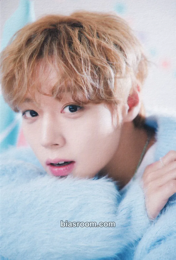 Jihoon 0529 JIHOON Birthday Boy BIRTHDAY CAFE Photocard - Park Jihoon - Park Jihoon K-pop photocard
