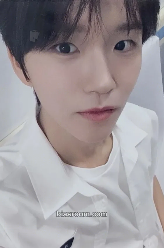 Jaehee Songbird Photocard - NCT WISH - NCT WISH K-pop photocard