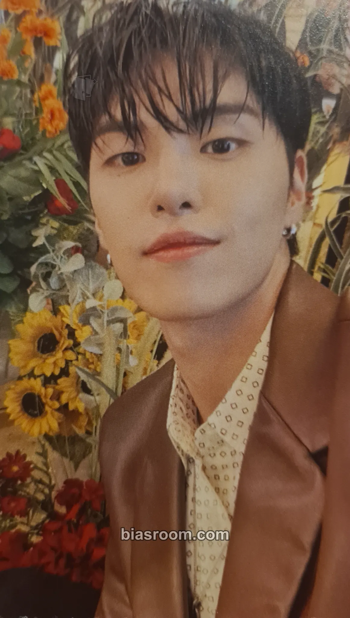 Hajoon Heal Together World Tour Photocard - The Rose - The Rose K-pop photocard