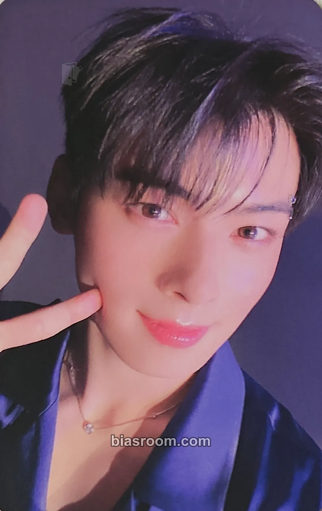 Cha Eun-woo Drive to the Starry Road Photocard - ASTRO - ASTRO K-pop photocard