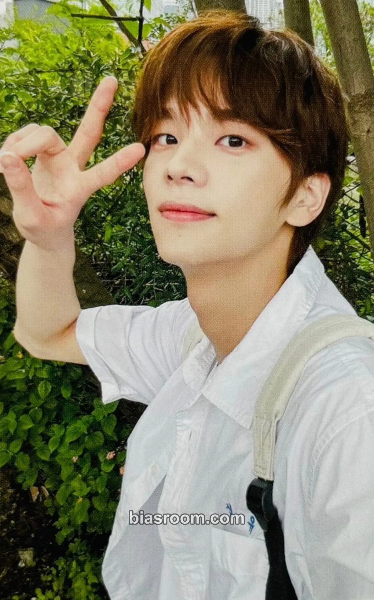 Shinyu SUMMER BEAT! Photocard - TWS - TWS K-pop photocard