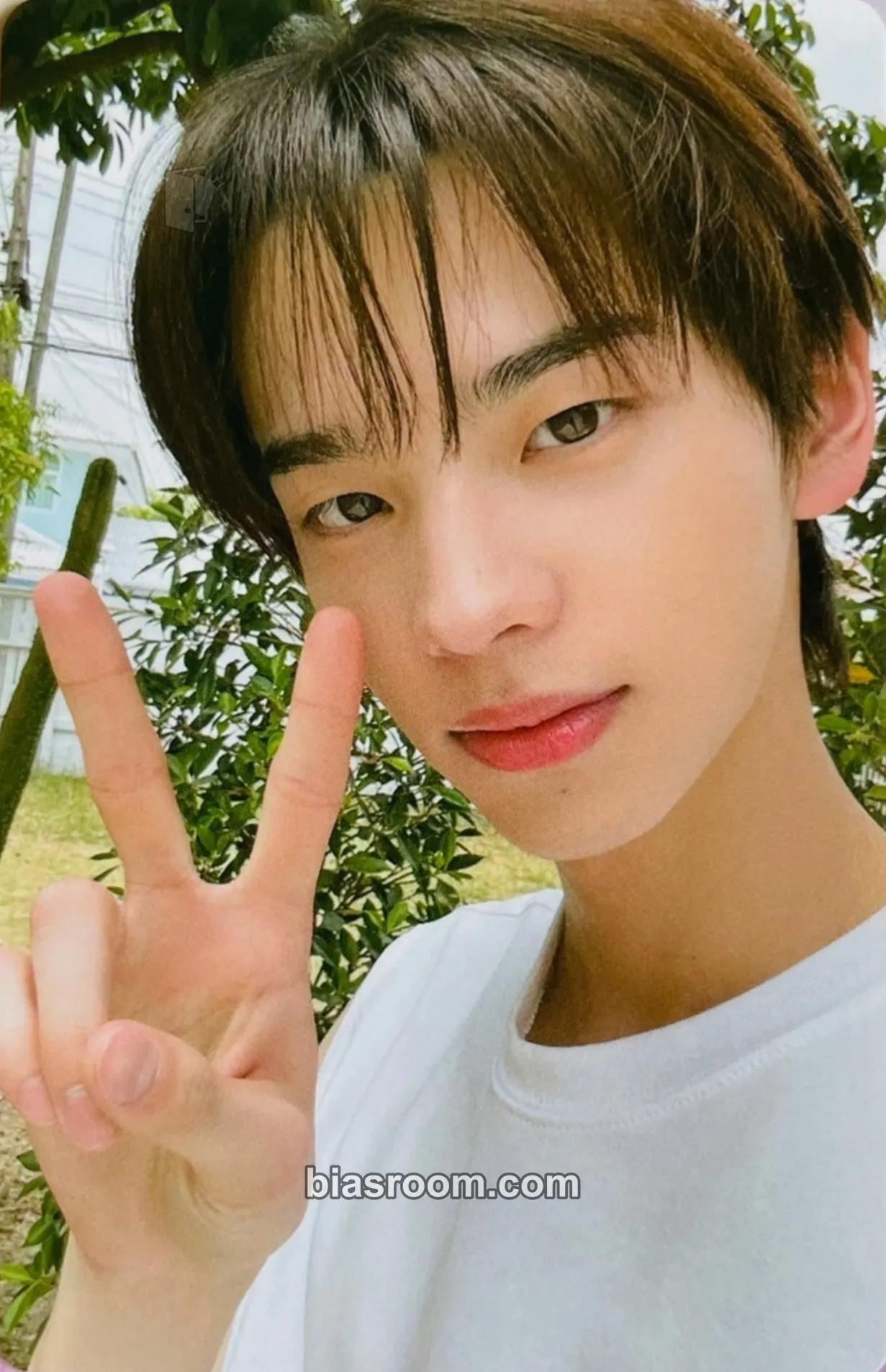 Shinyu SUMMER BEAT! Photocard - TWS - TWS K-pop photocard