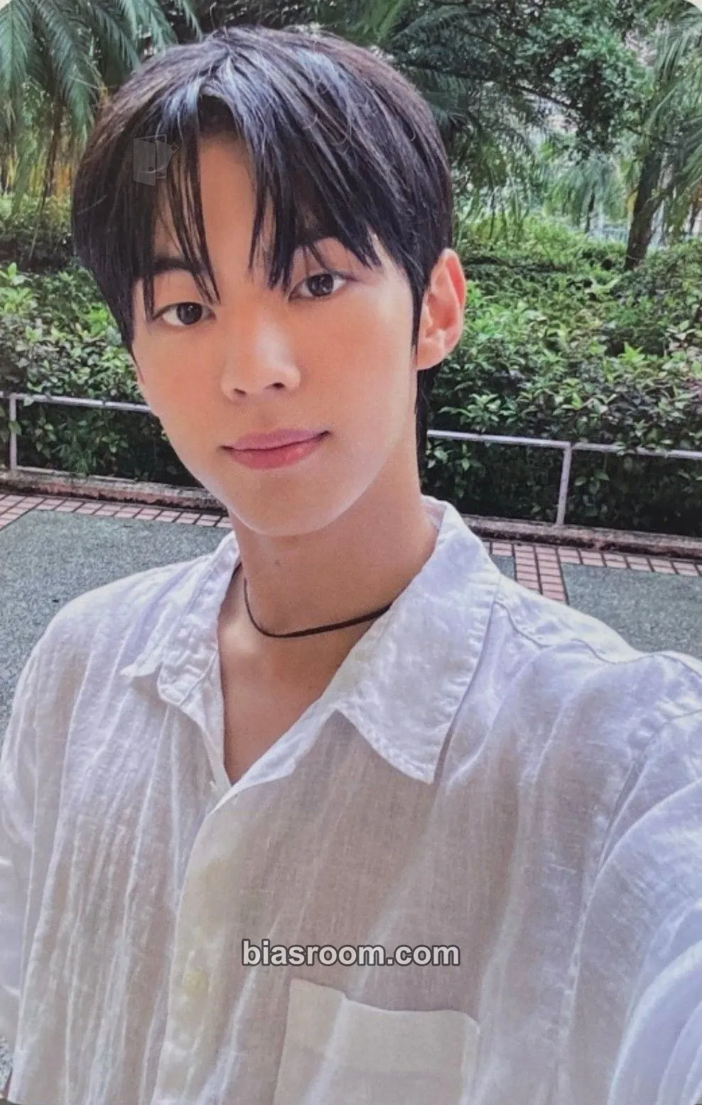 Dohoon SUMMER BEAT! Photocard - TWS - TWS K-pop photocard