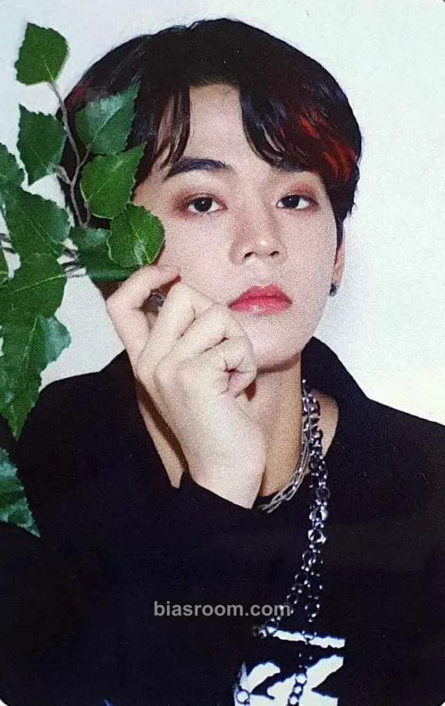 TFN - On - Before Sunrise part. 1 Album album photocard transparent