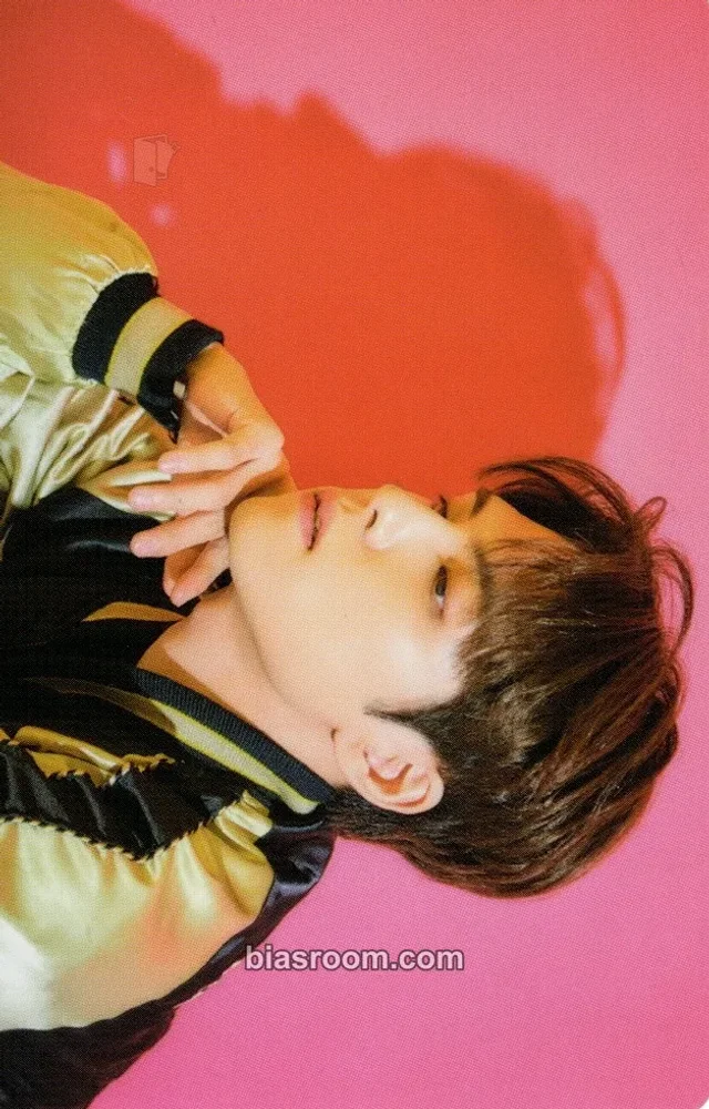 DAY6 - Wonpil - DAY6 1st World Tour Youth Event encore tour merch trading card