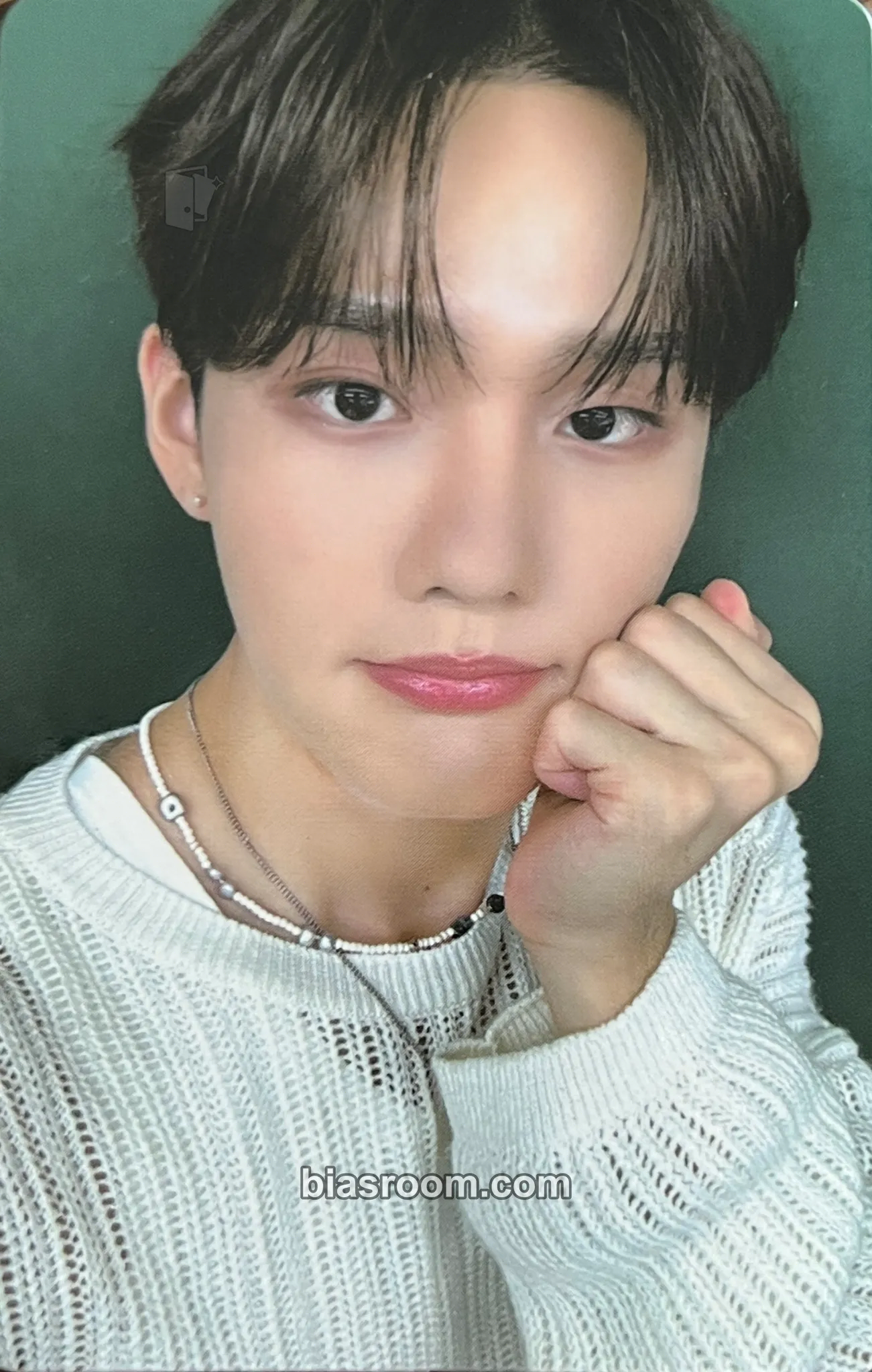 Seunghun Wishpool Photocard - B.D.U - B.D.U K-pop photocard