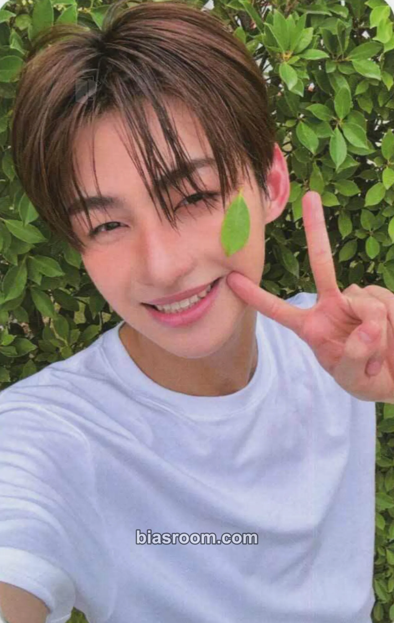Jihoon SUMMER BEAT! Photocard - TWS - TWS K-pop photocard