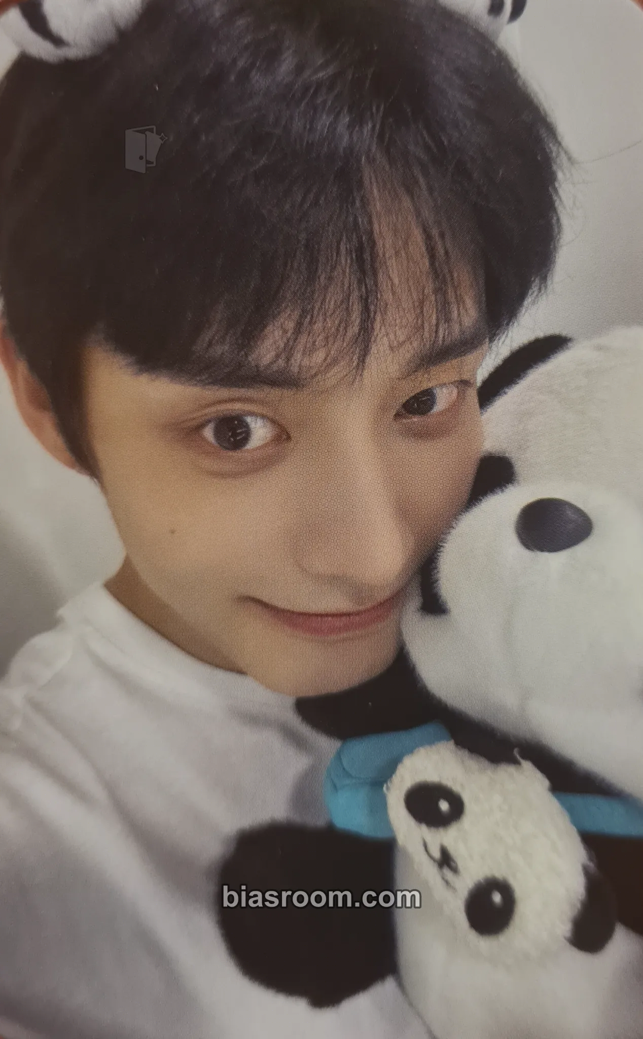 Jiwoong You Had Me at Hello Photocard - ZEROBASEONE - ZEROBASEONE K-pop photocard
