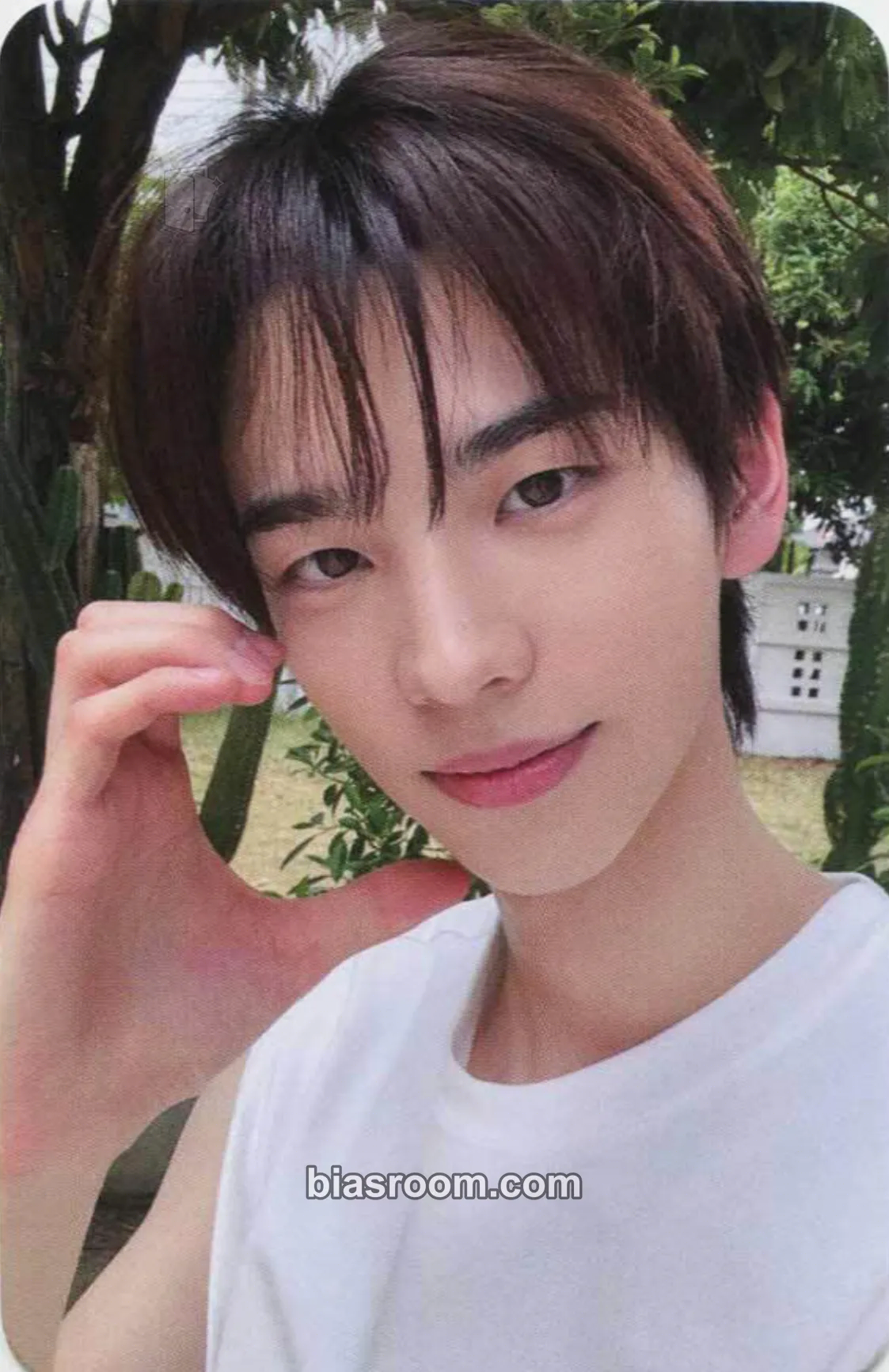 Shinyu SUMMER BEAT! Photocard - TWS - TWS K-pop photocard
