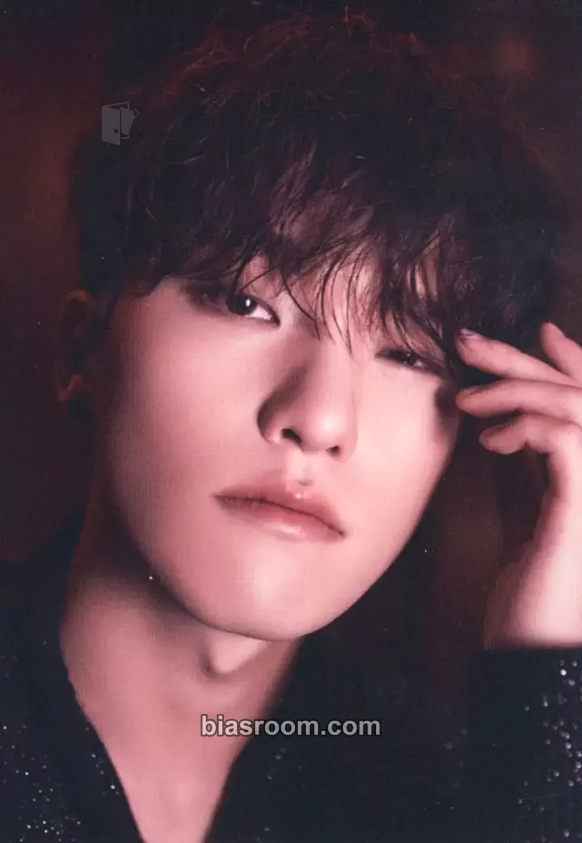 Dino 2023 Season's Greetings Photocard - SEVENTEEN - SEVENTEEN K-pop photocard
