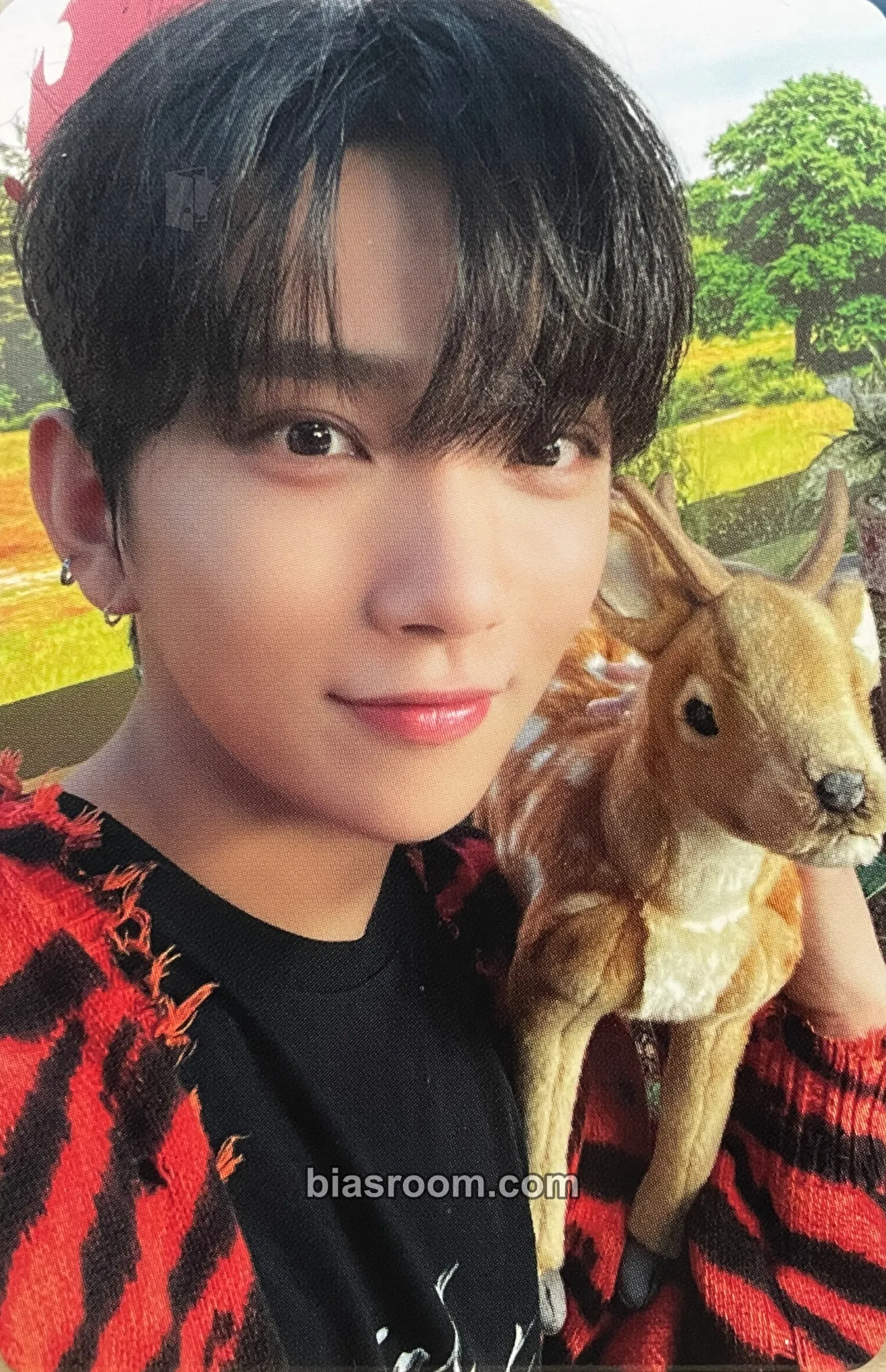 Joshua DICON D’Festa Mini Edition Photocard - SEVENTEEN - SEVENTEEN K-pop photocard