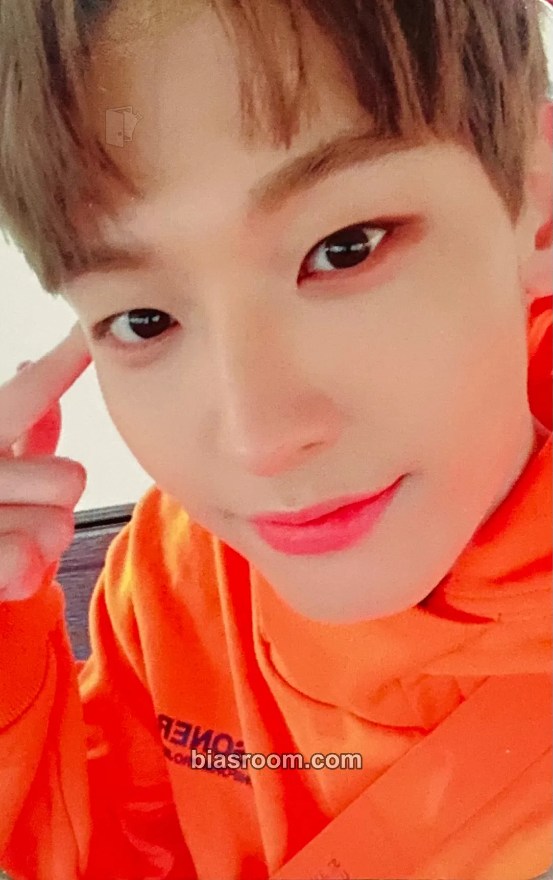 Inseong MAMMA MIA! Photocard - SF9 - SF9 K-pop photocard