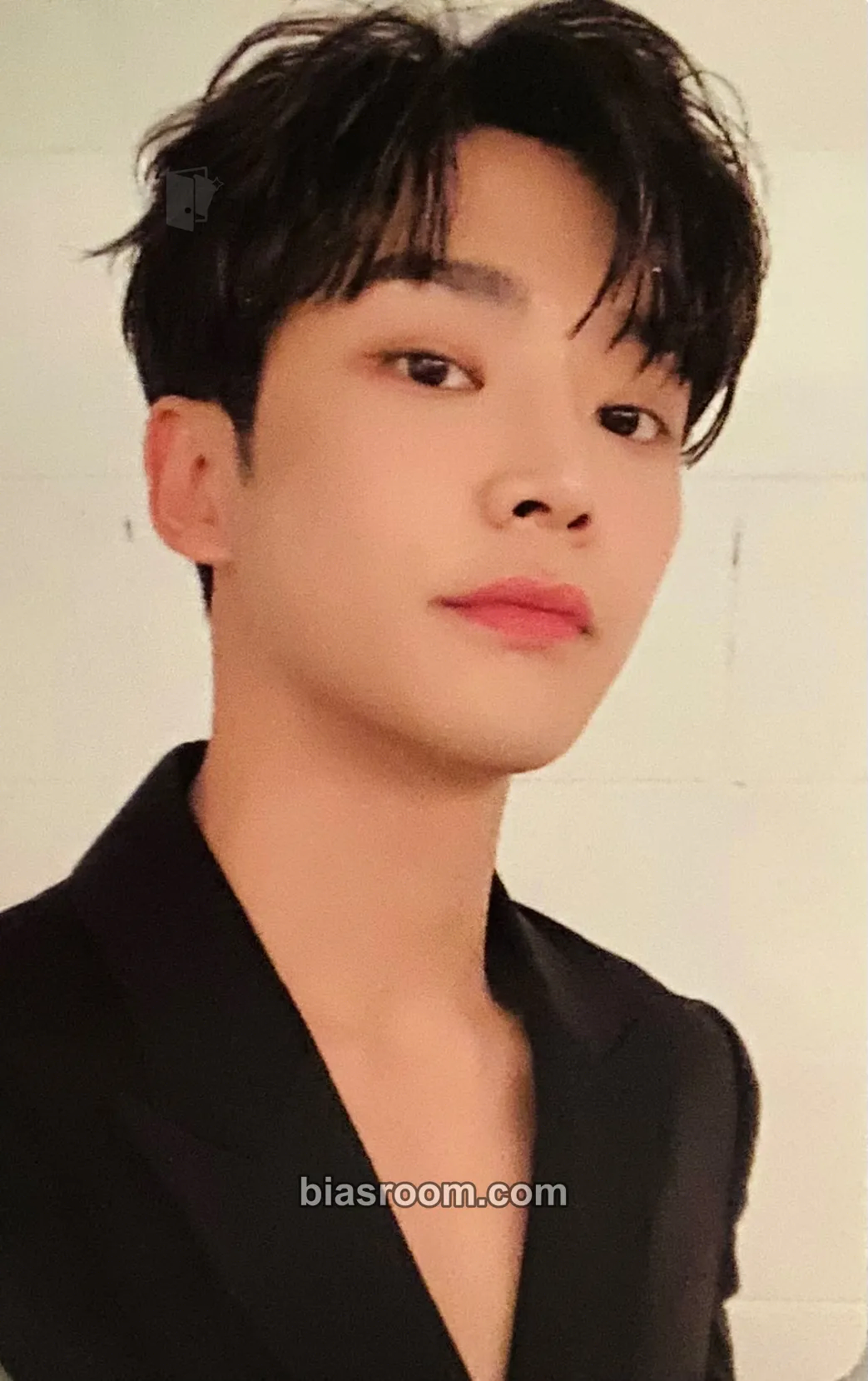 Rowoon Sensuous Photocard - SF9 - SF9 K-pop photocard