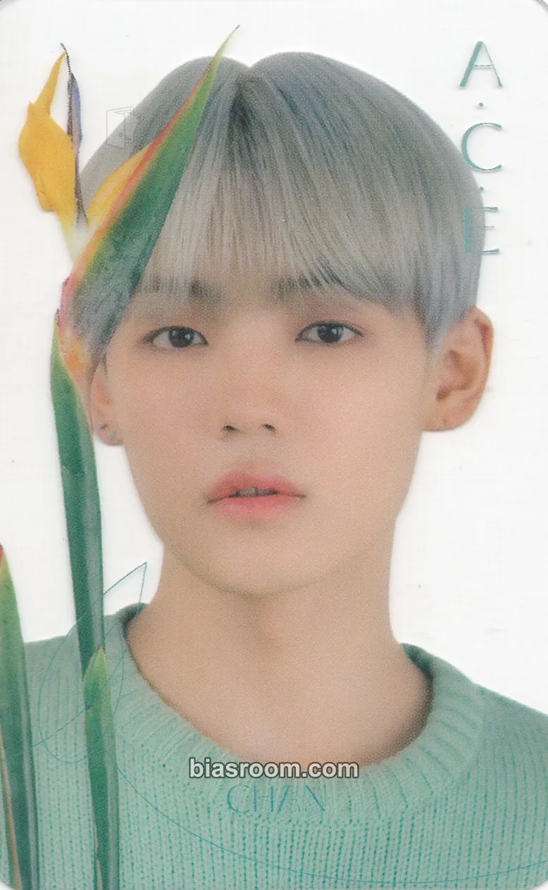 Kang Yuchan A.C.E 2021 Season's Greetings Photocard - A.C.E - A.C.E K-pop photocard