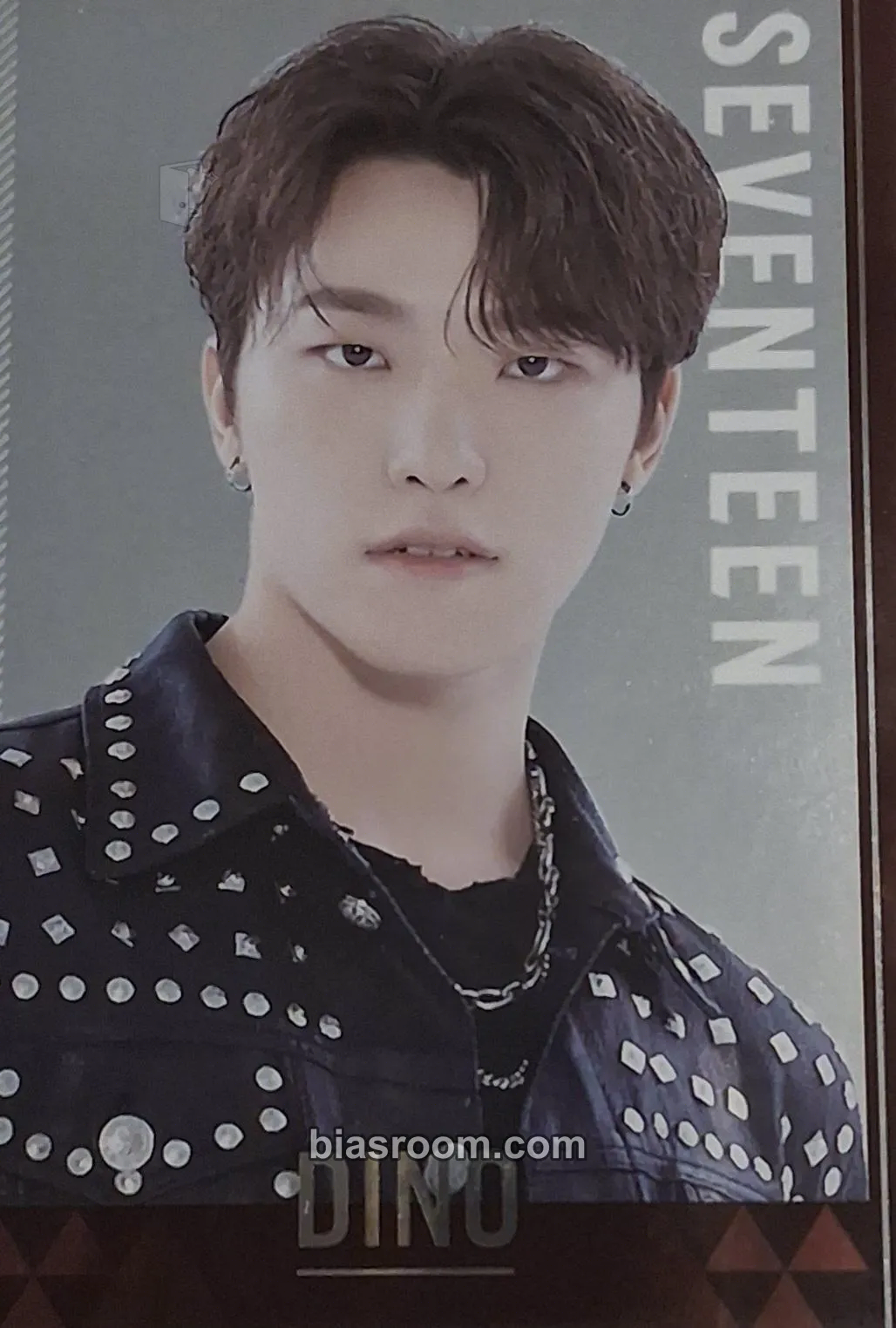Dino Bandai x SEVENTEEN Brand Collaboration Photocard - SEVENTEEN - SEVENTEEN K-pop photocard