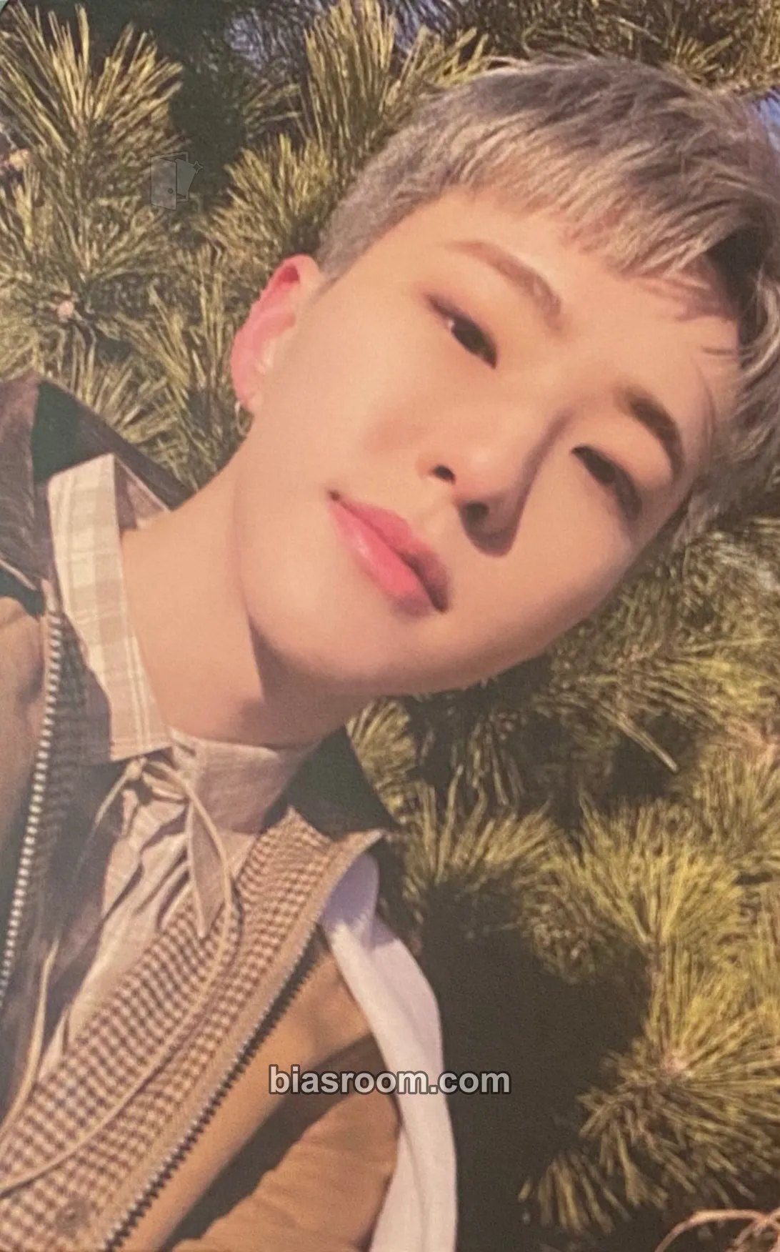 Hoshi Face the Sun Photocard - SEVENTEEN - SEVENTEEN K-pop photocard