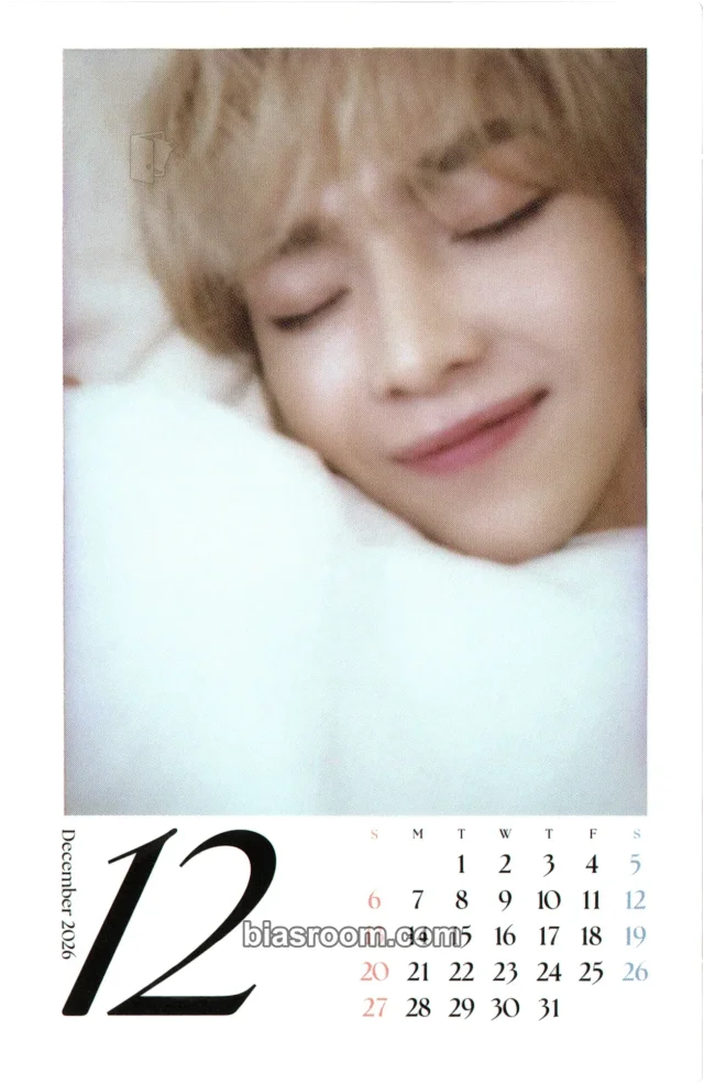 &TEAM - Nicholas - 2026 Seasons Greetings Other polaroid calendar photocard season's greetings item set