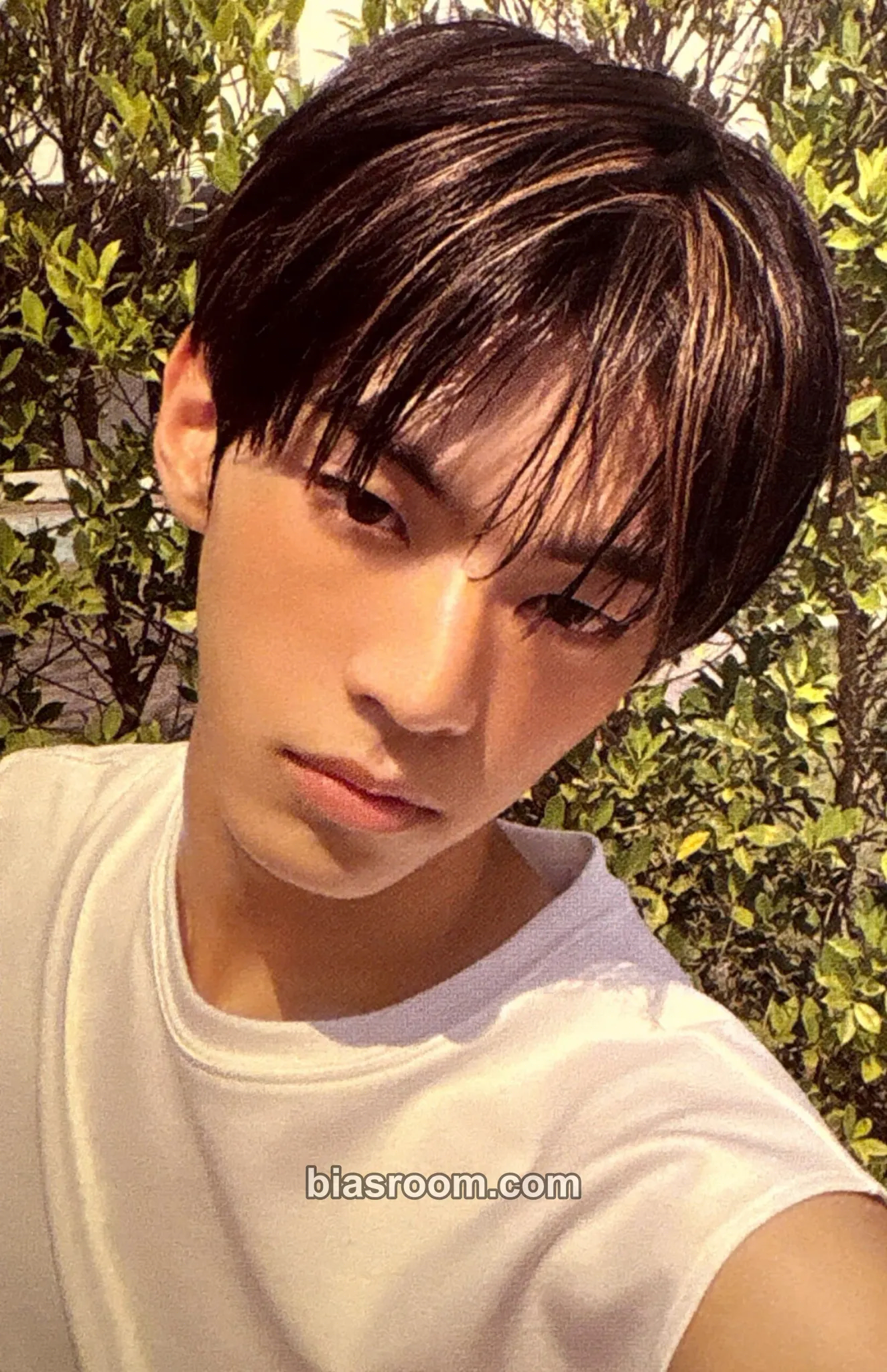 Dohoon SUMMER BEAT! Photocard - TWS - TWS K-pop photocard